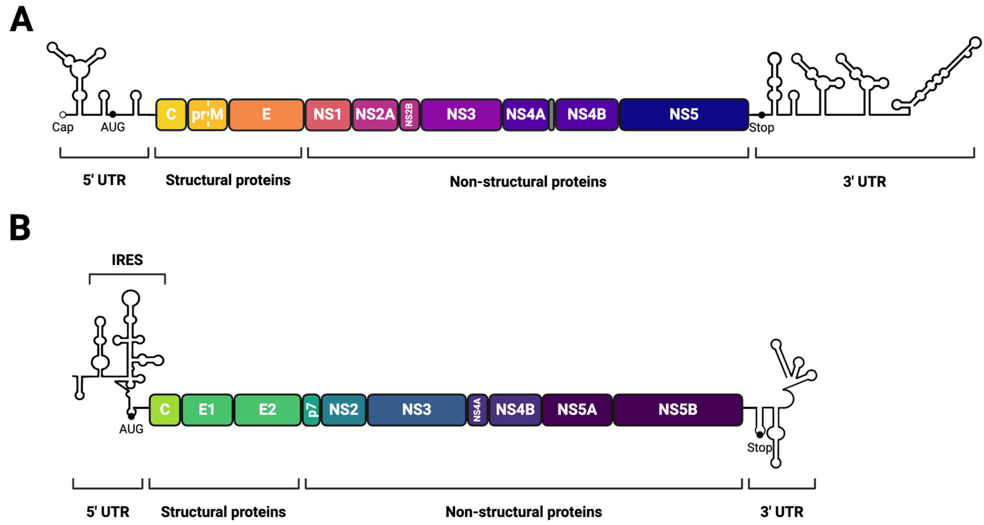 Viruses 17 00847 g001