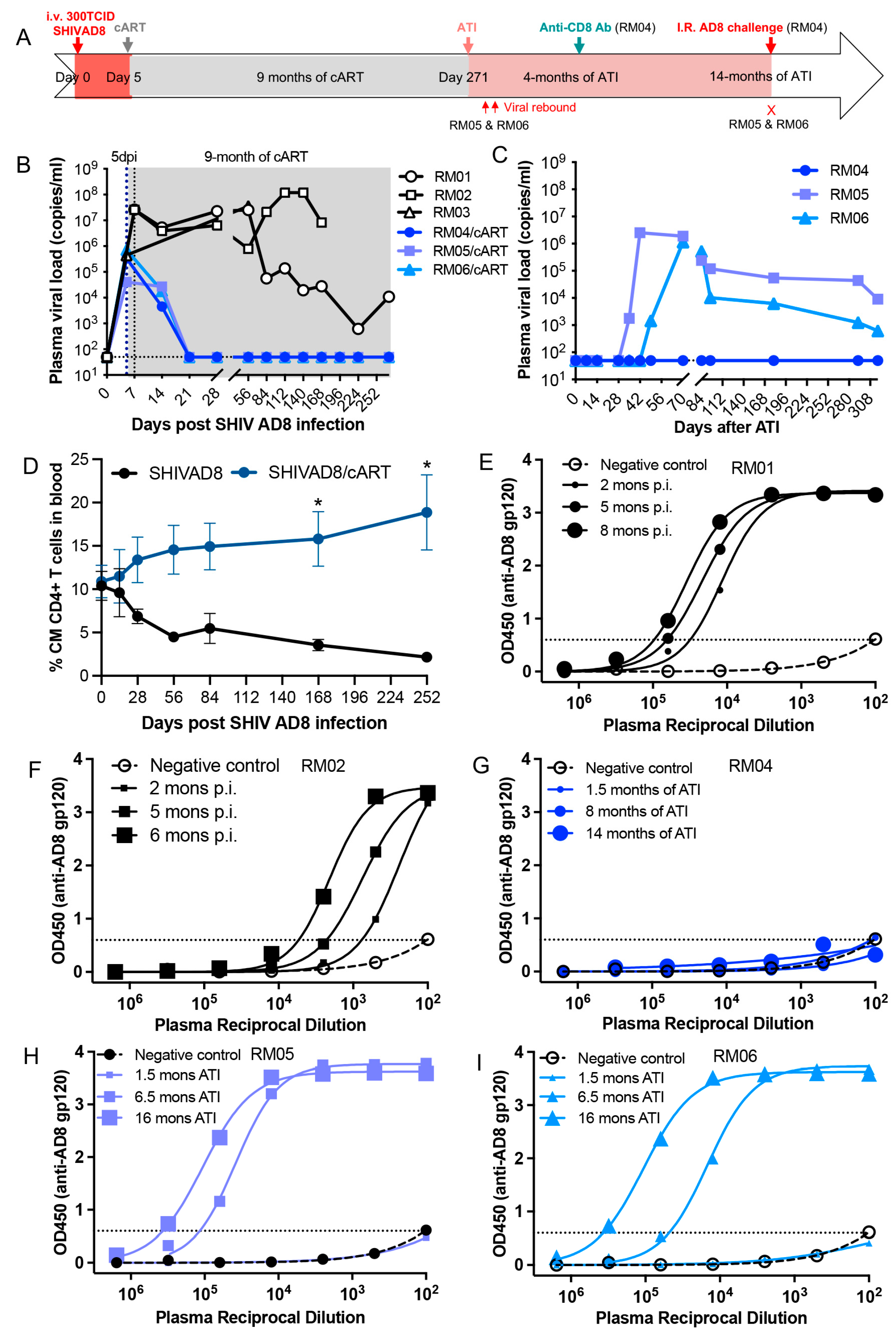 Viruses 17 00849 g001