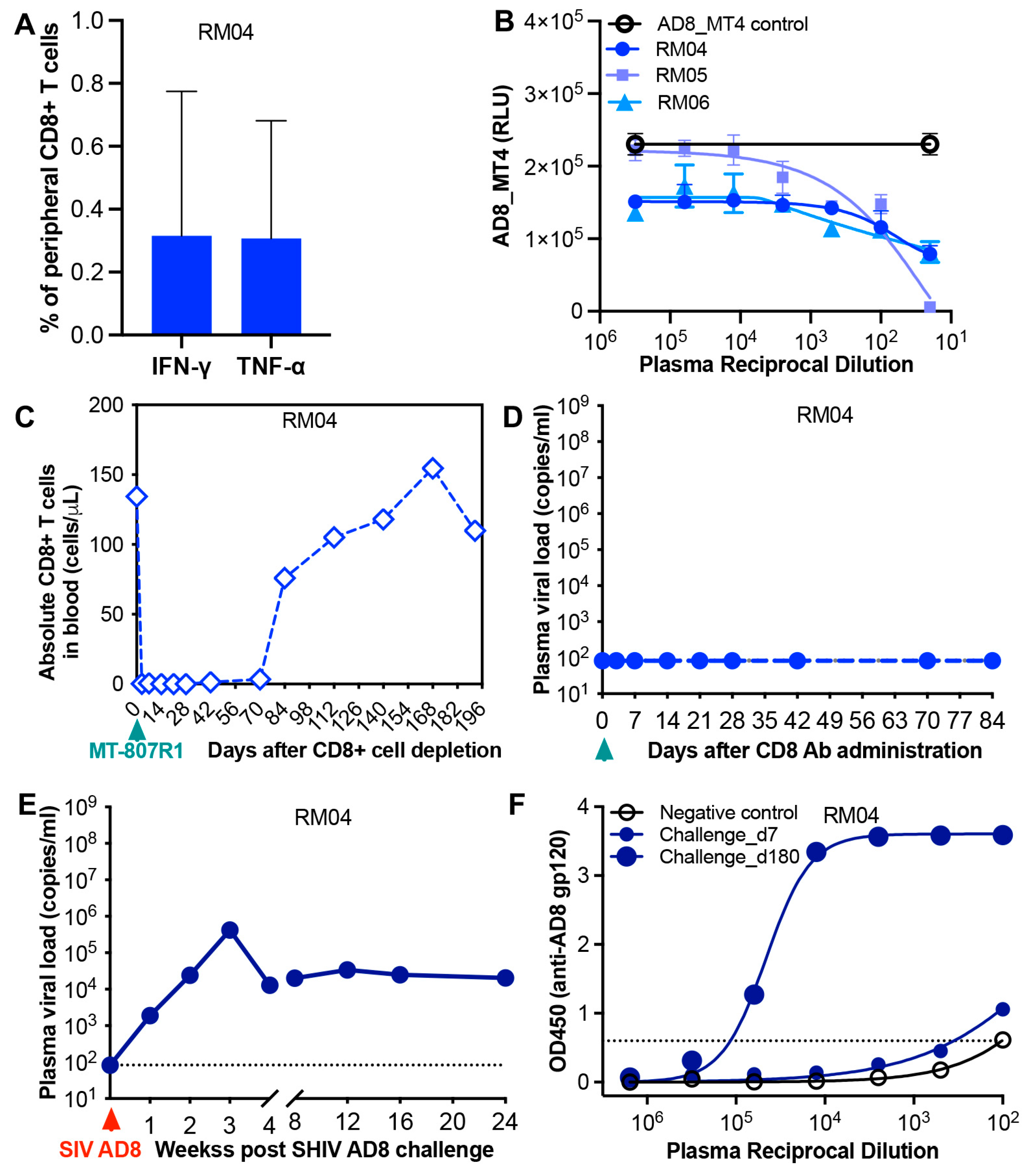 Viruses 17 00849 g002