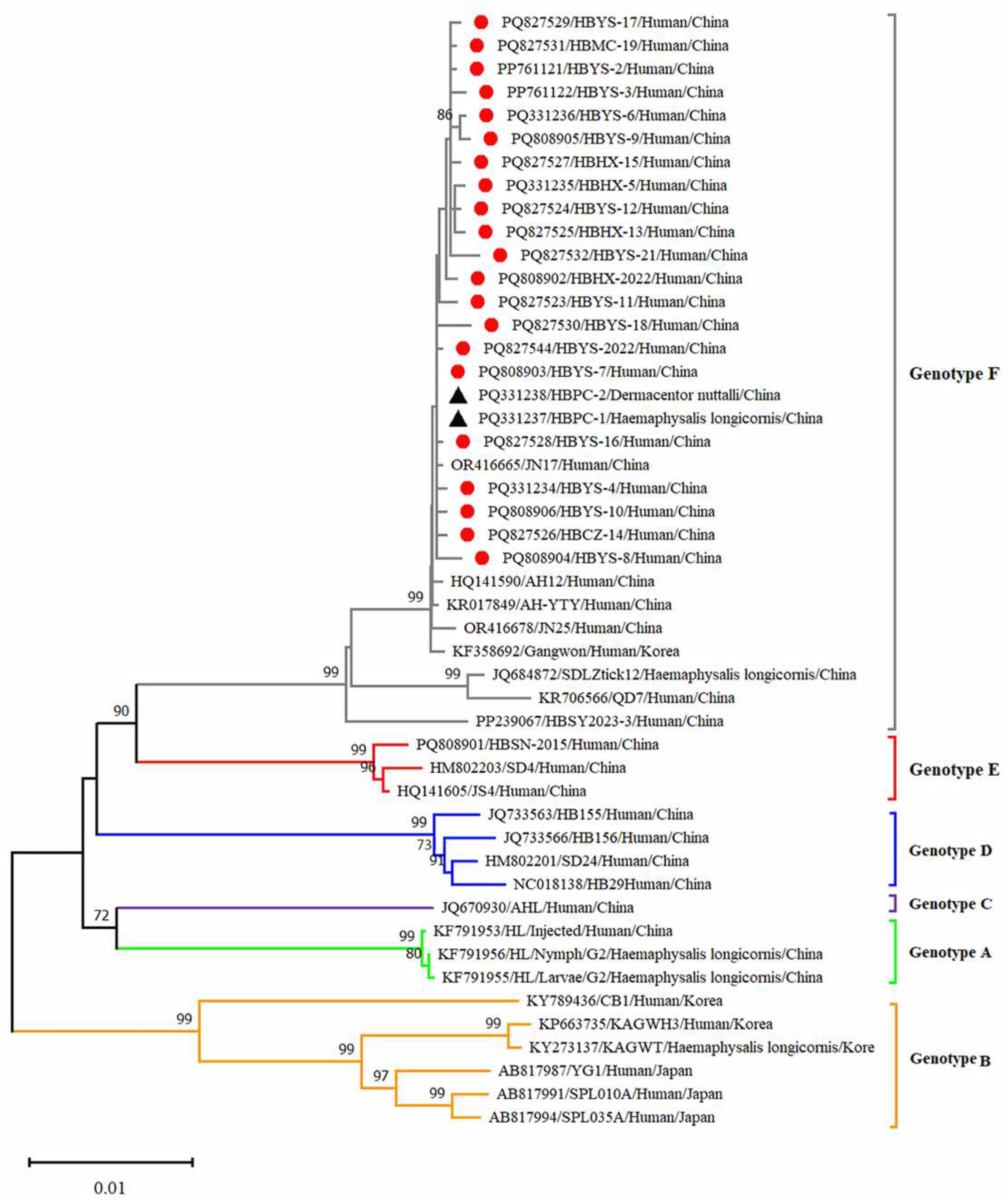 Viruses 17 00854 g005