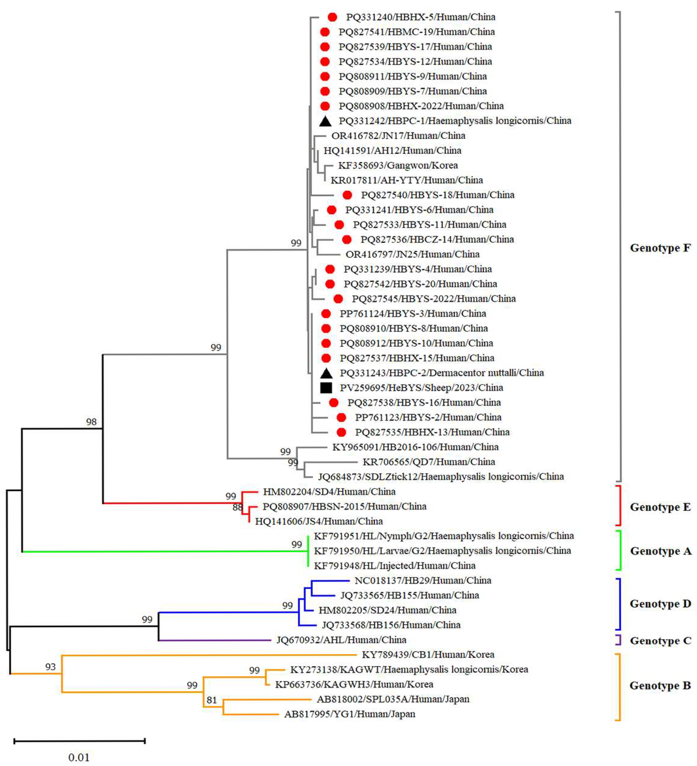 Viruses 17 00854 g006
