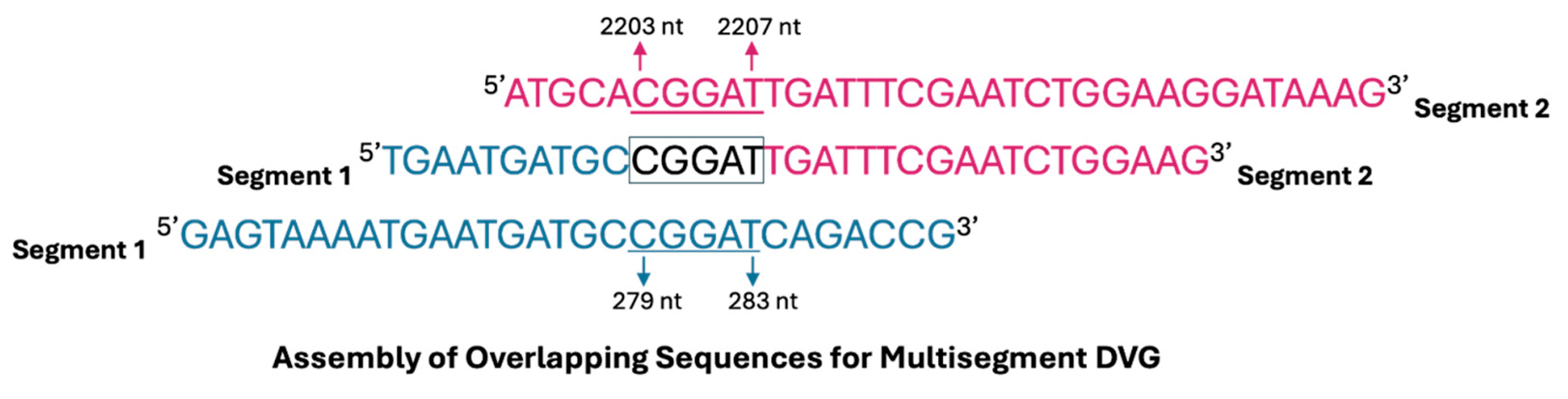 Viruses 17 00856 g003