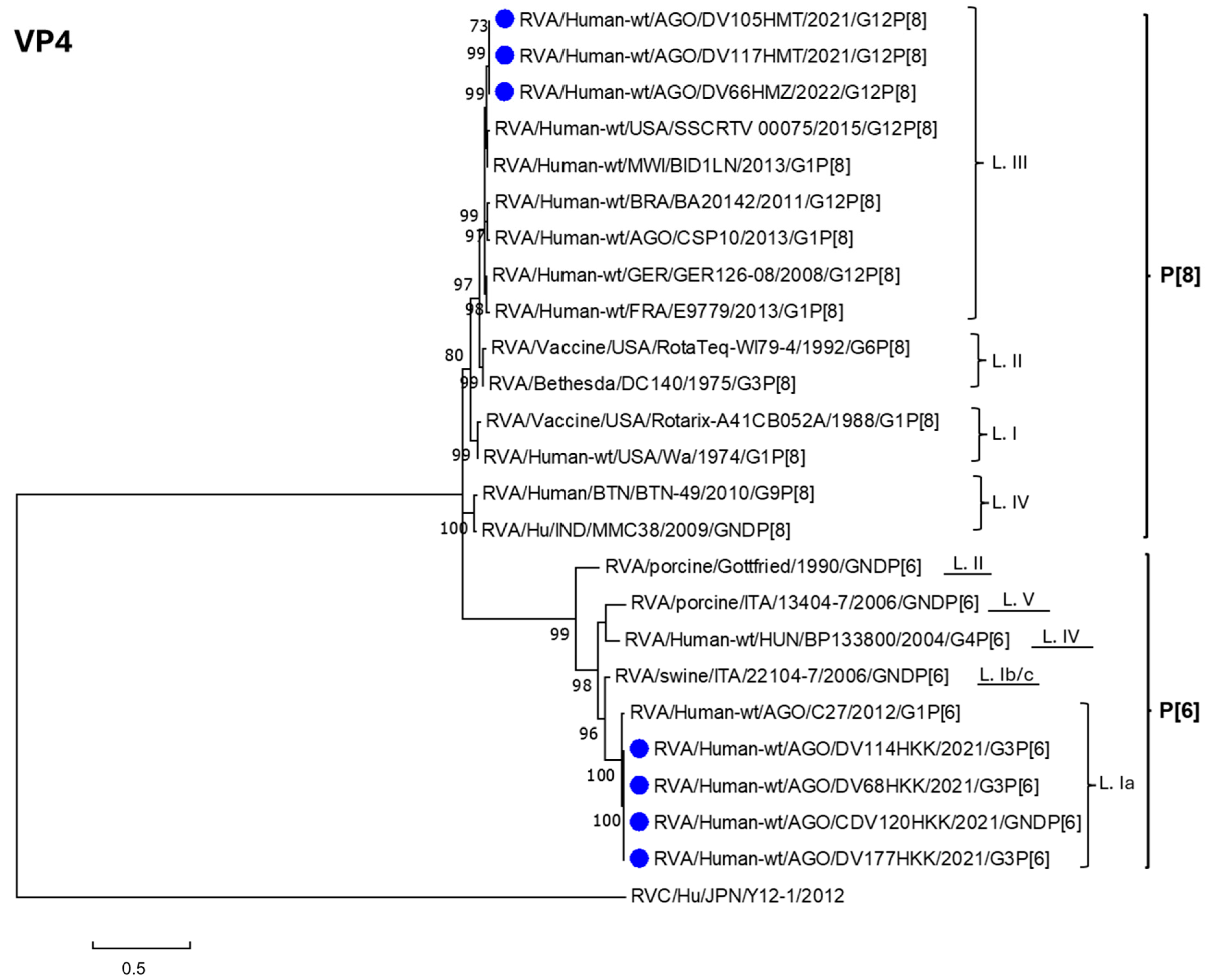 Viruses 17 00858 g002