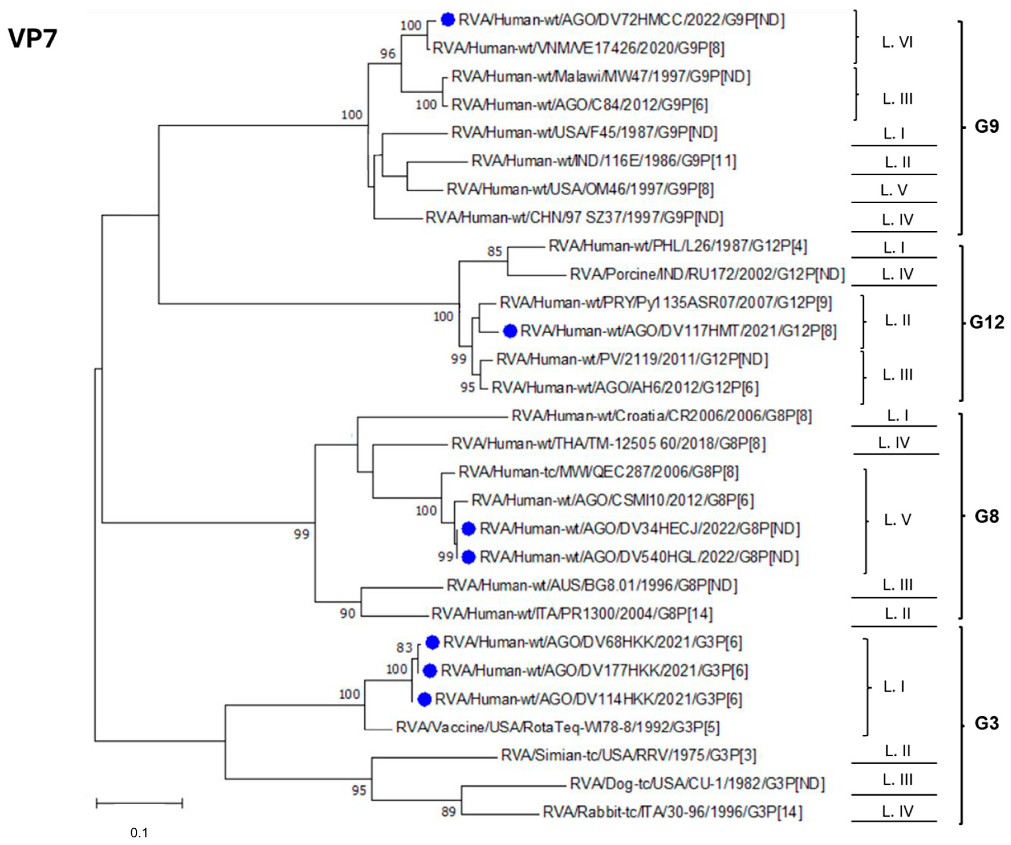 Viruses 17 00858 g003