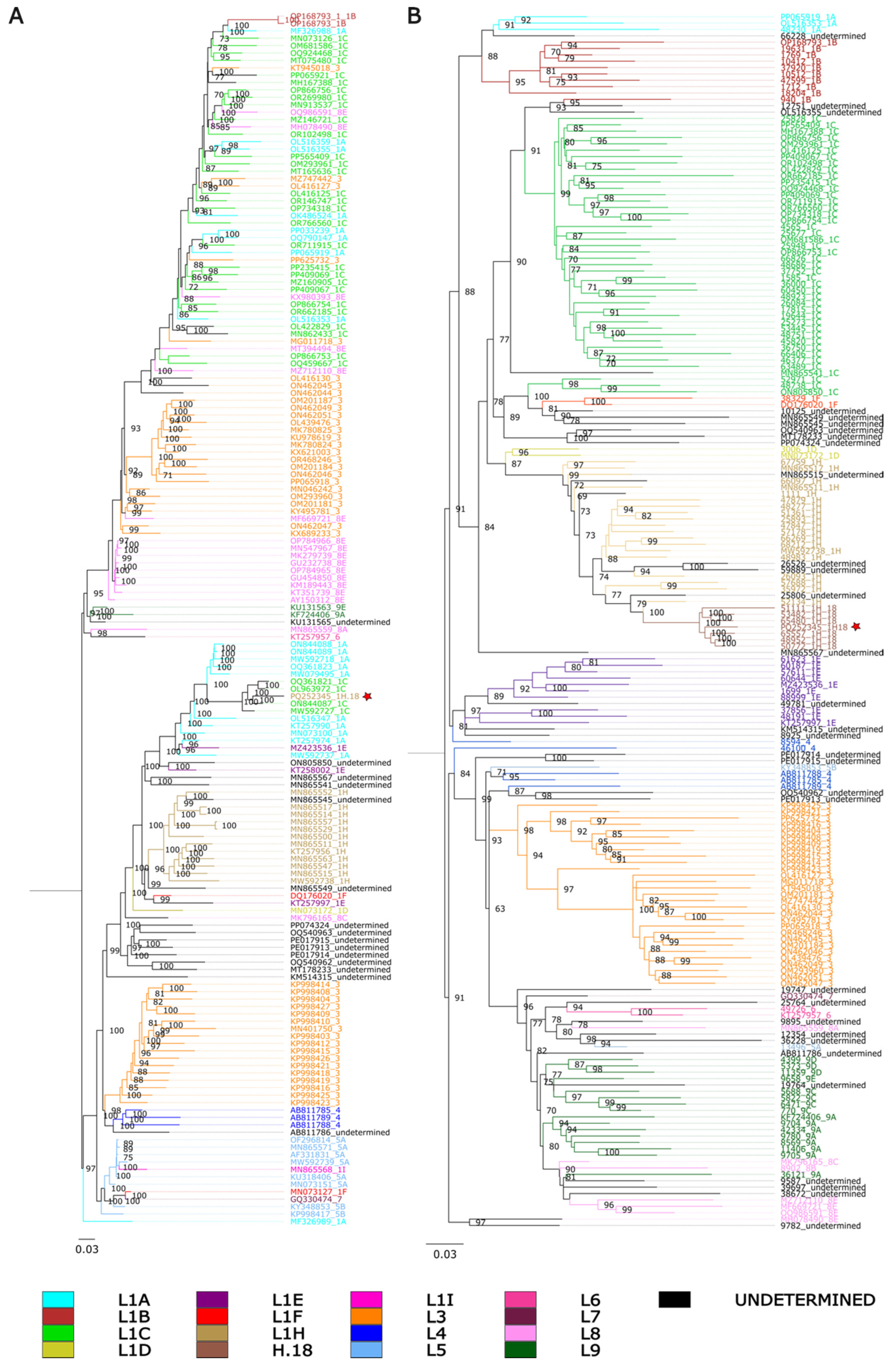 Viruses 17 00863 g001