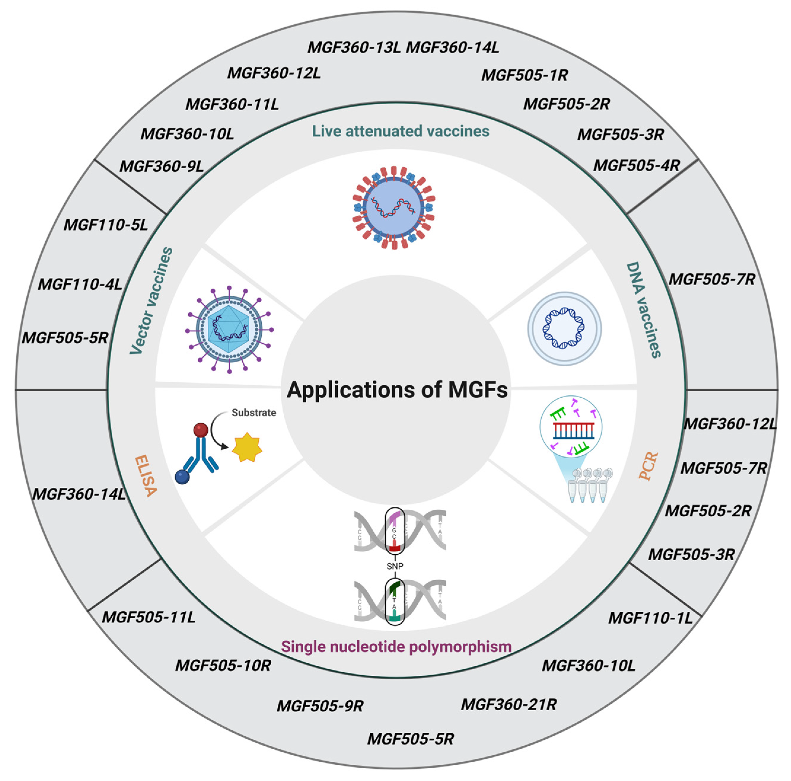Viruses 17 00865 g004
