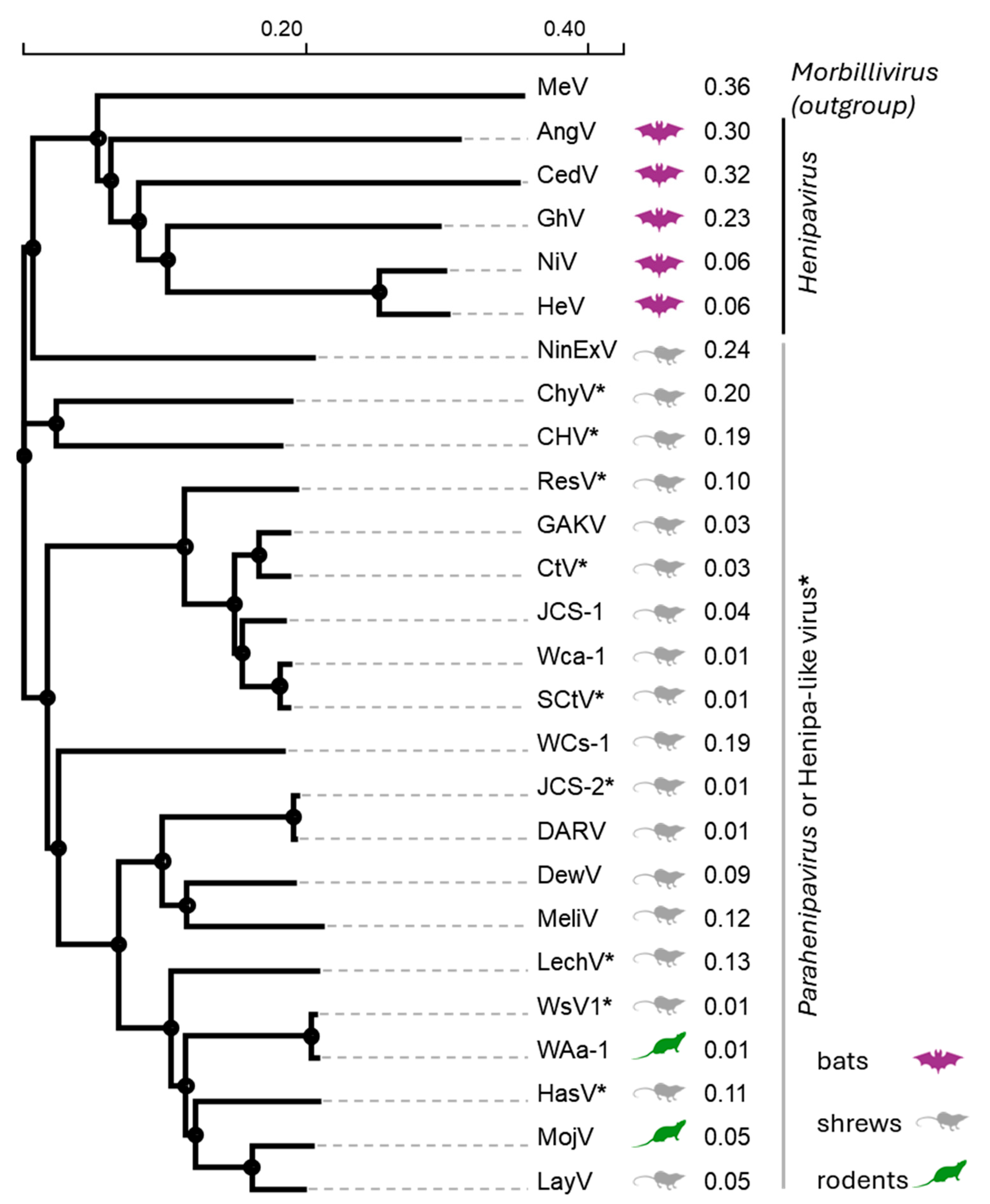 Viruses 17 00866 g003
