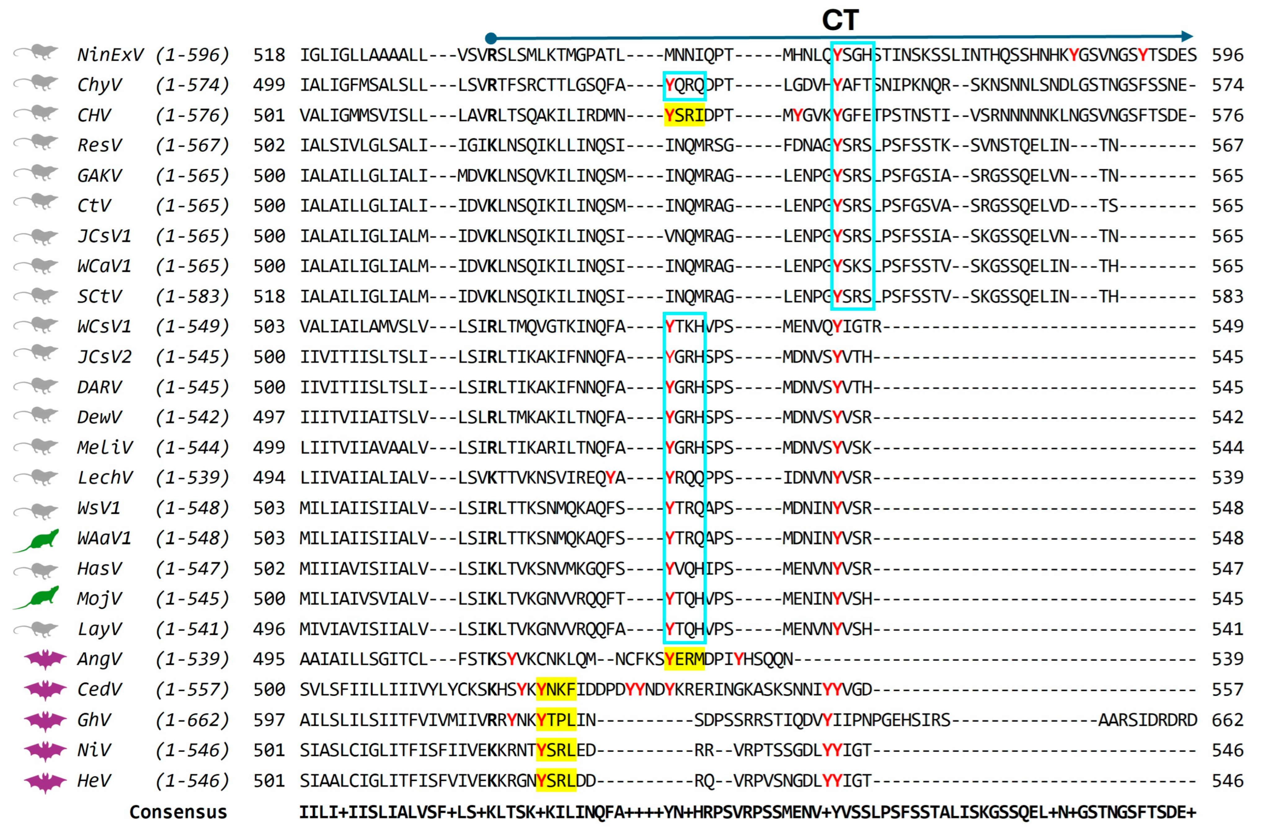 Viruses 17 00866 g004
