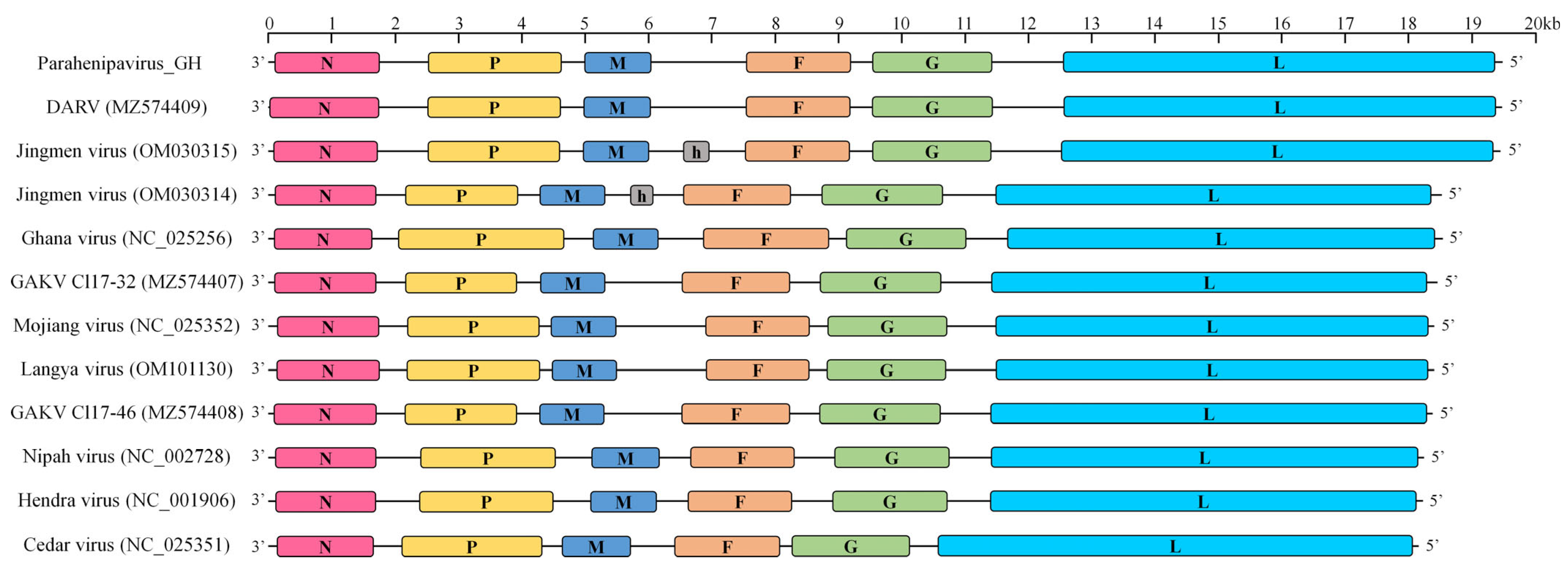 Viruses 17 00867 g003