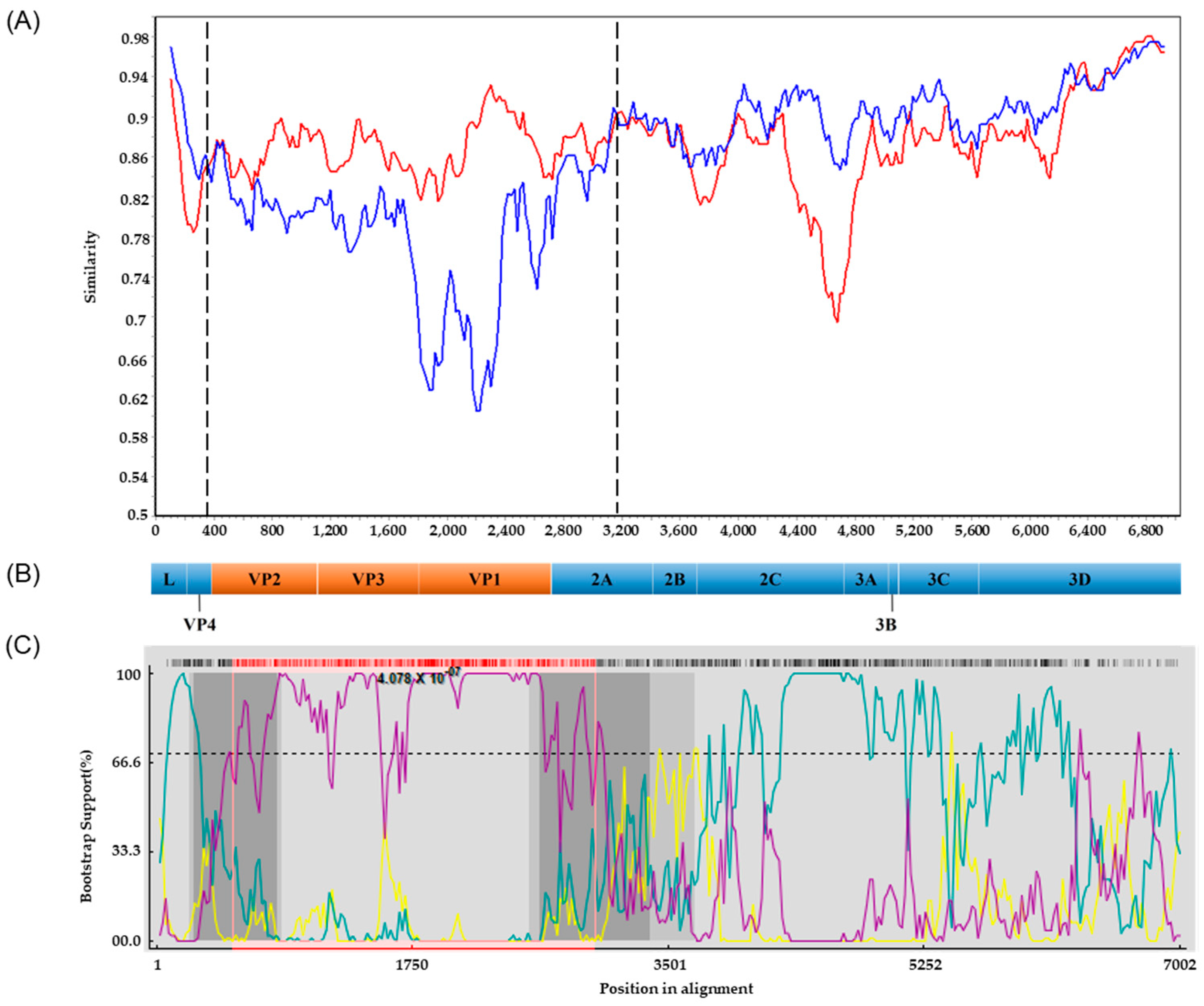 Viruses 17 00870 g004
