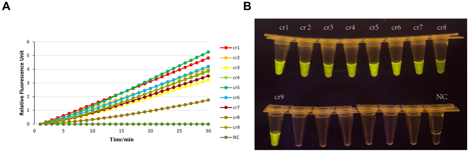 Viruses 17 00872 g003