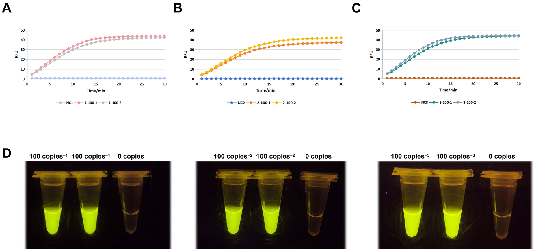 Viruses 17 00872 g004