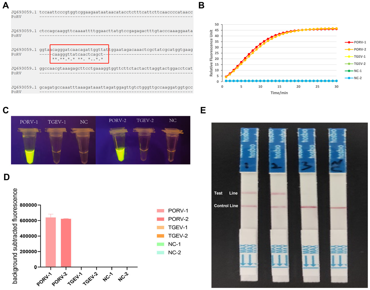 Viruses 17 00872 g005