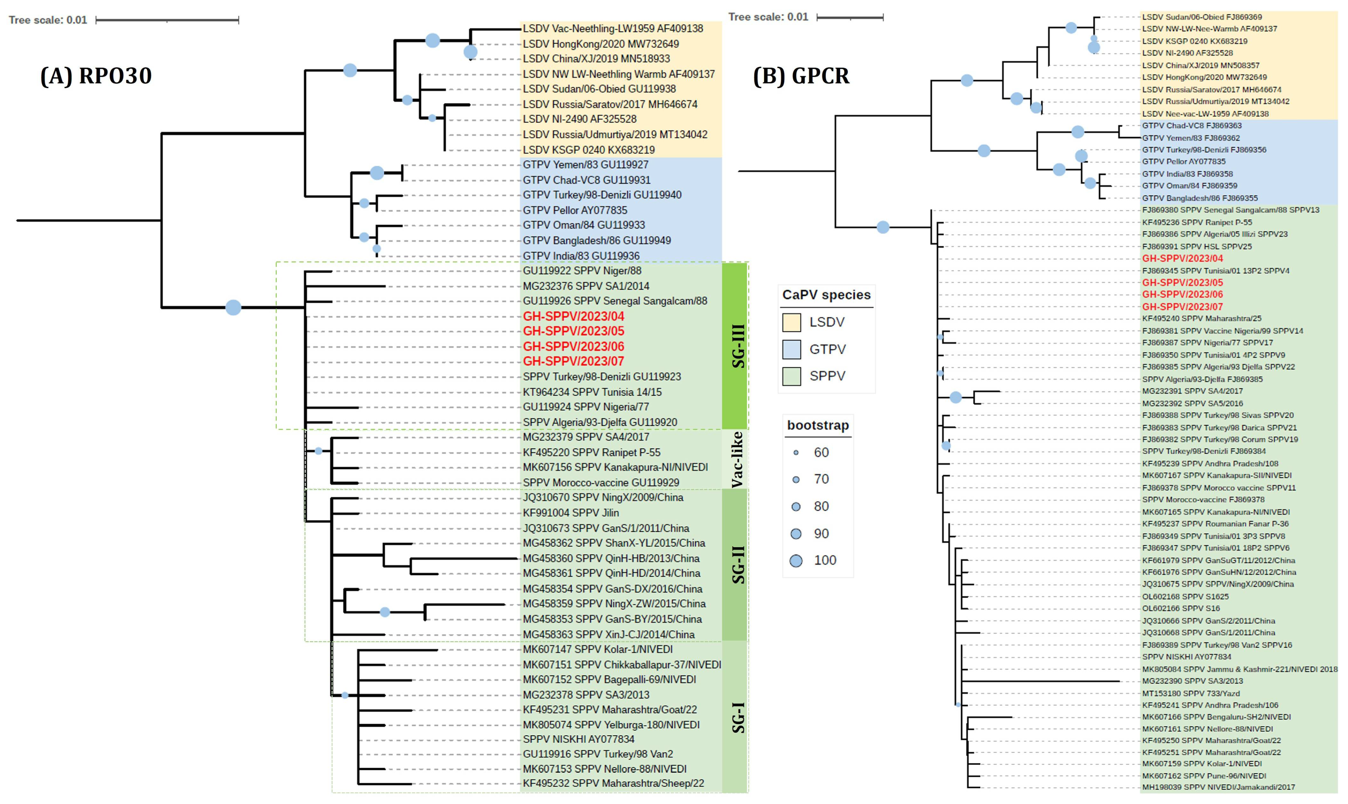 Viruses 17 00875 g003 Viruses 17 00875 g003