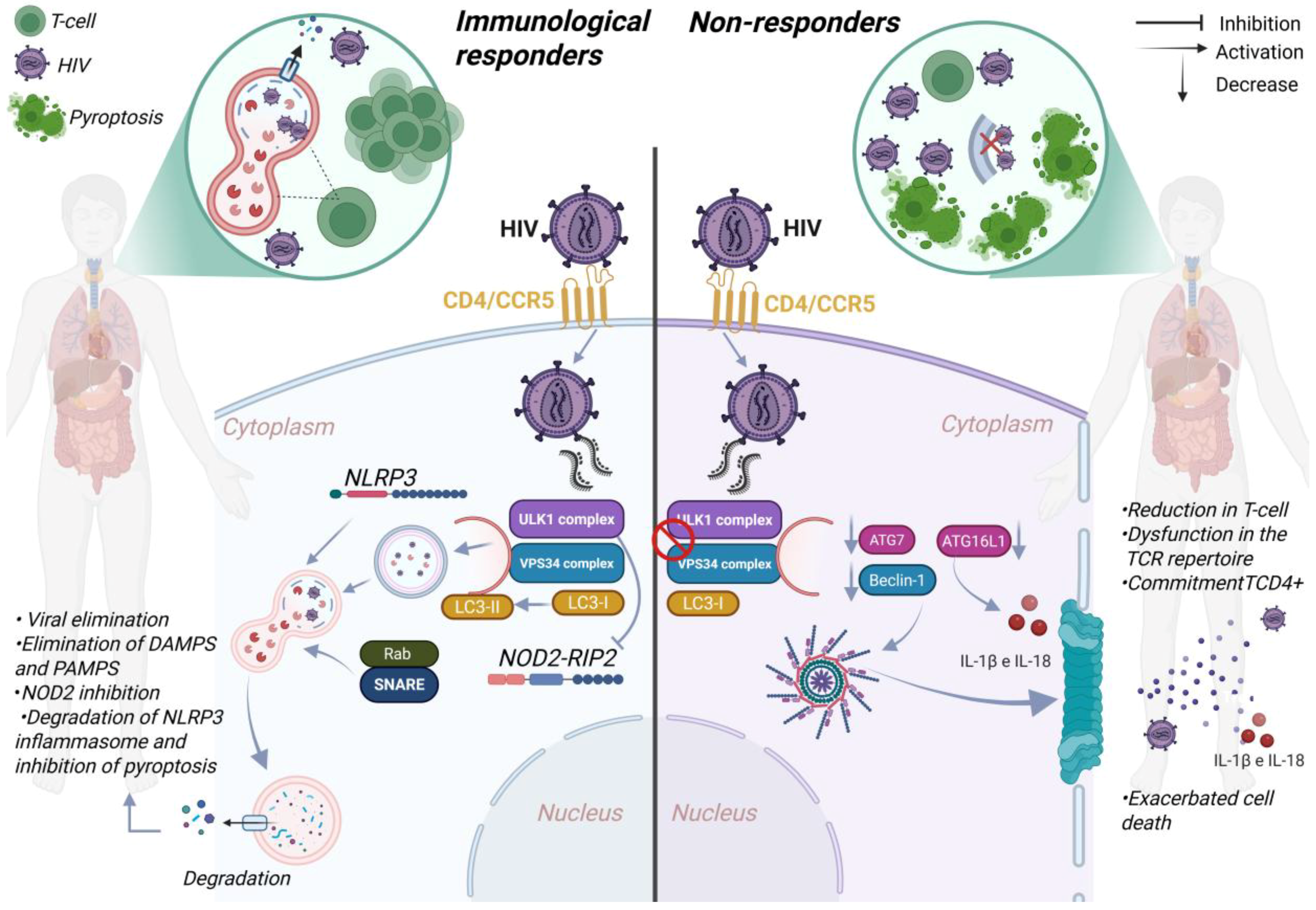 Viruses 17 00884 g005