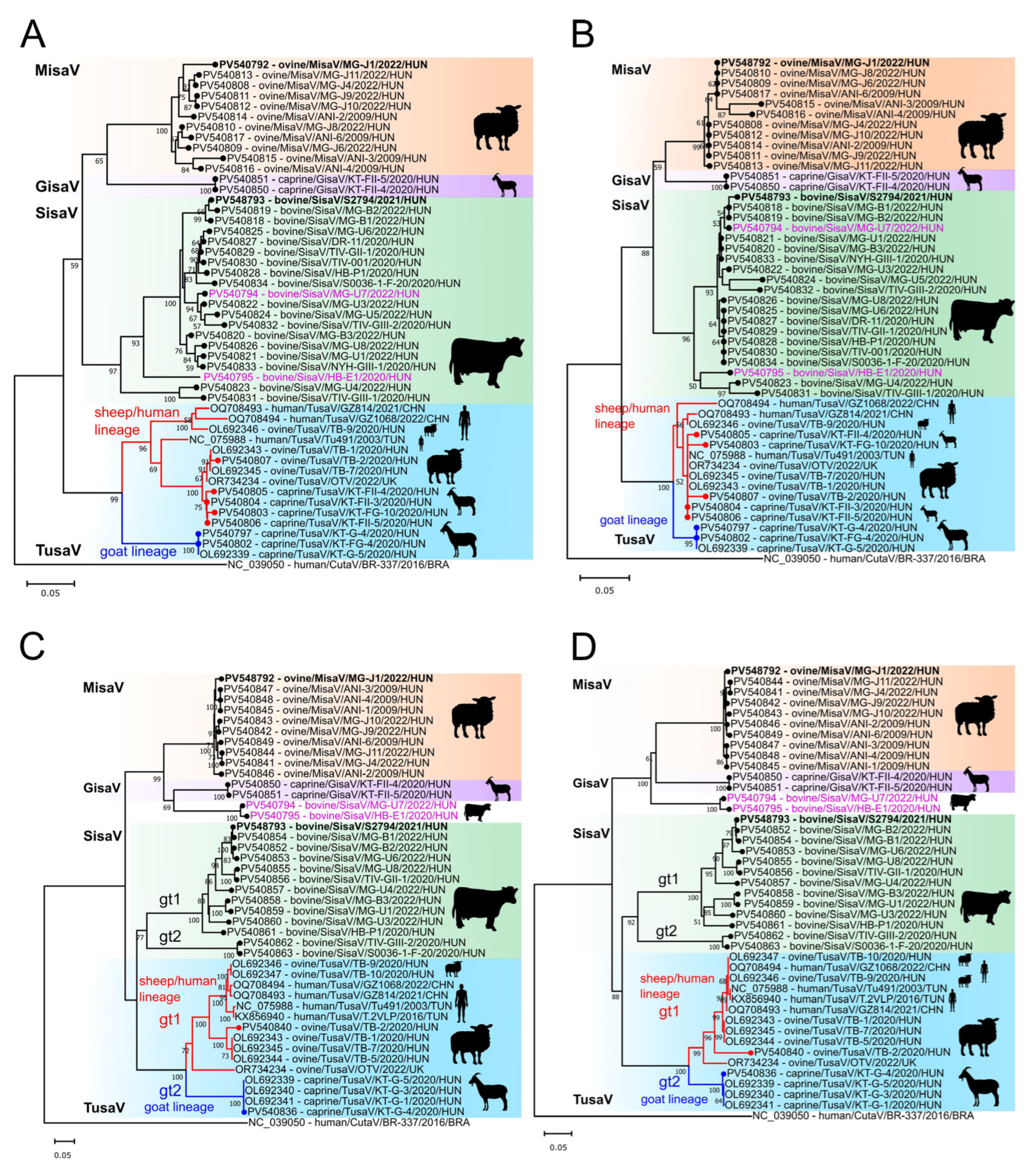 Viruses 17 00888 g006