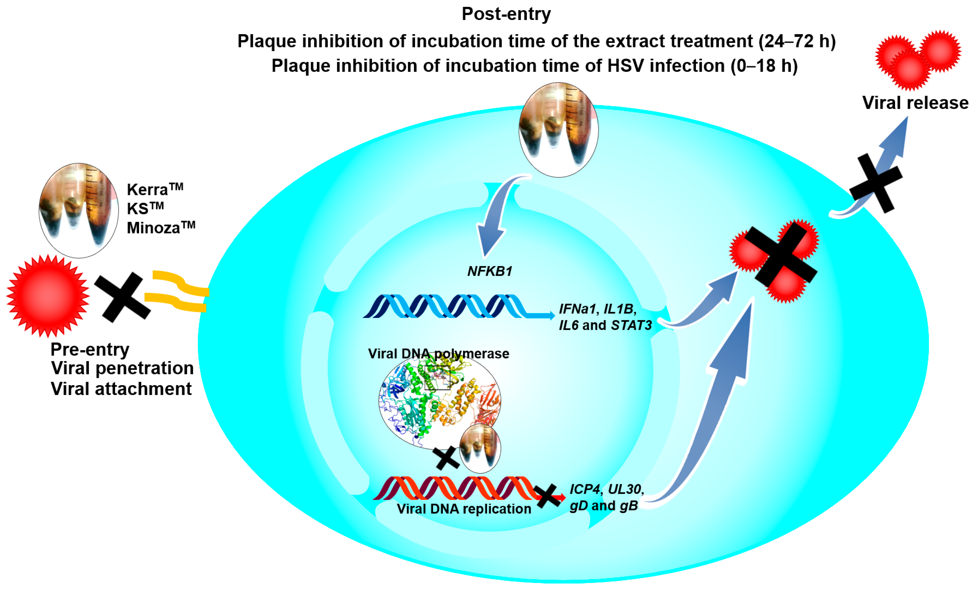 Viruses 17 00889 g008