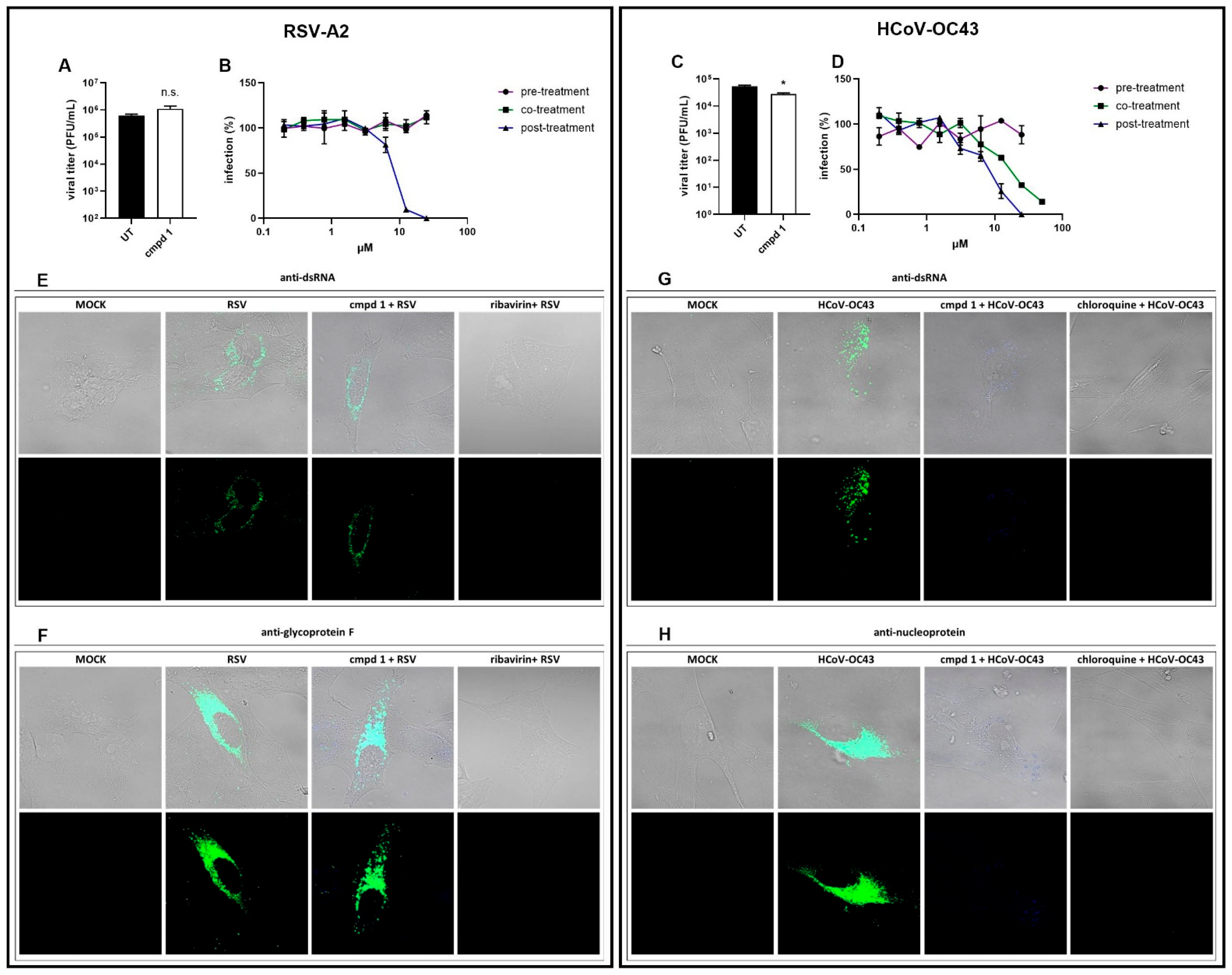 Viruses 17 00890 g002