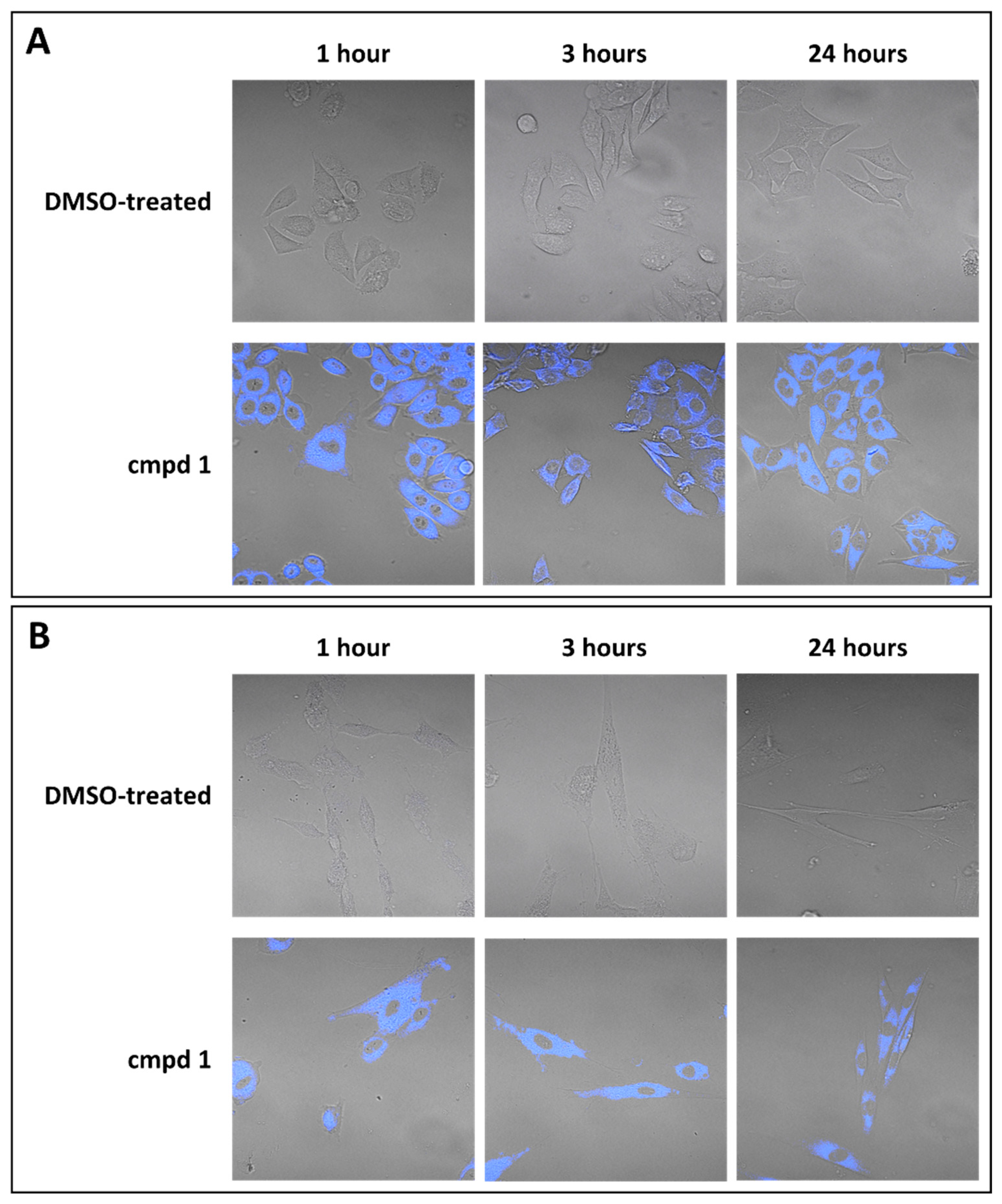 Viruses 17 00890 g003