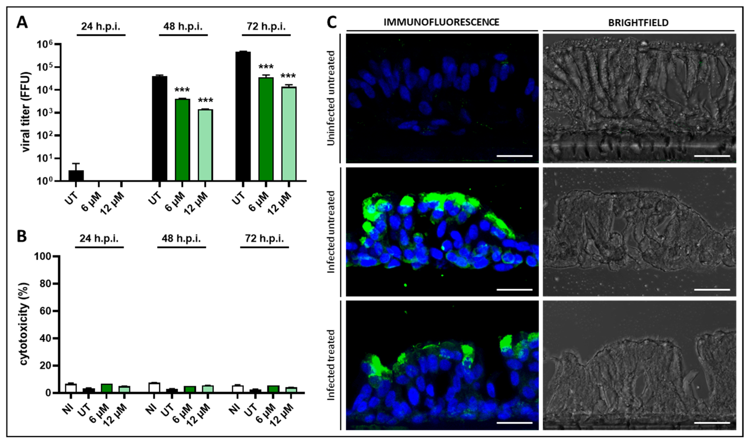Viruses 17 00890 g004
