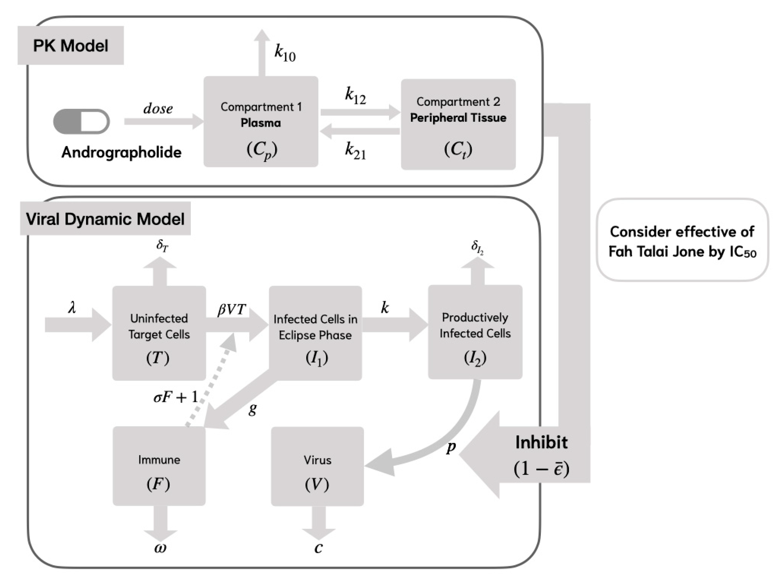 Viruses 17 00891 g003