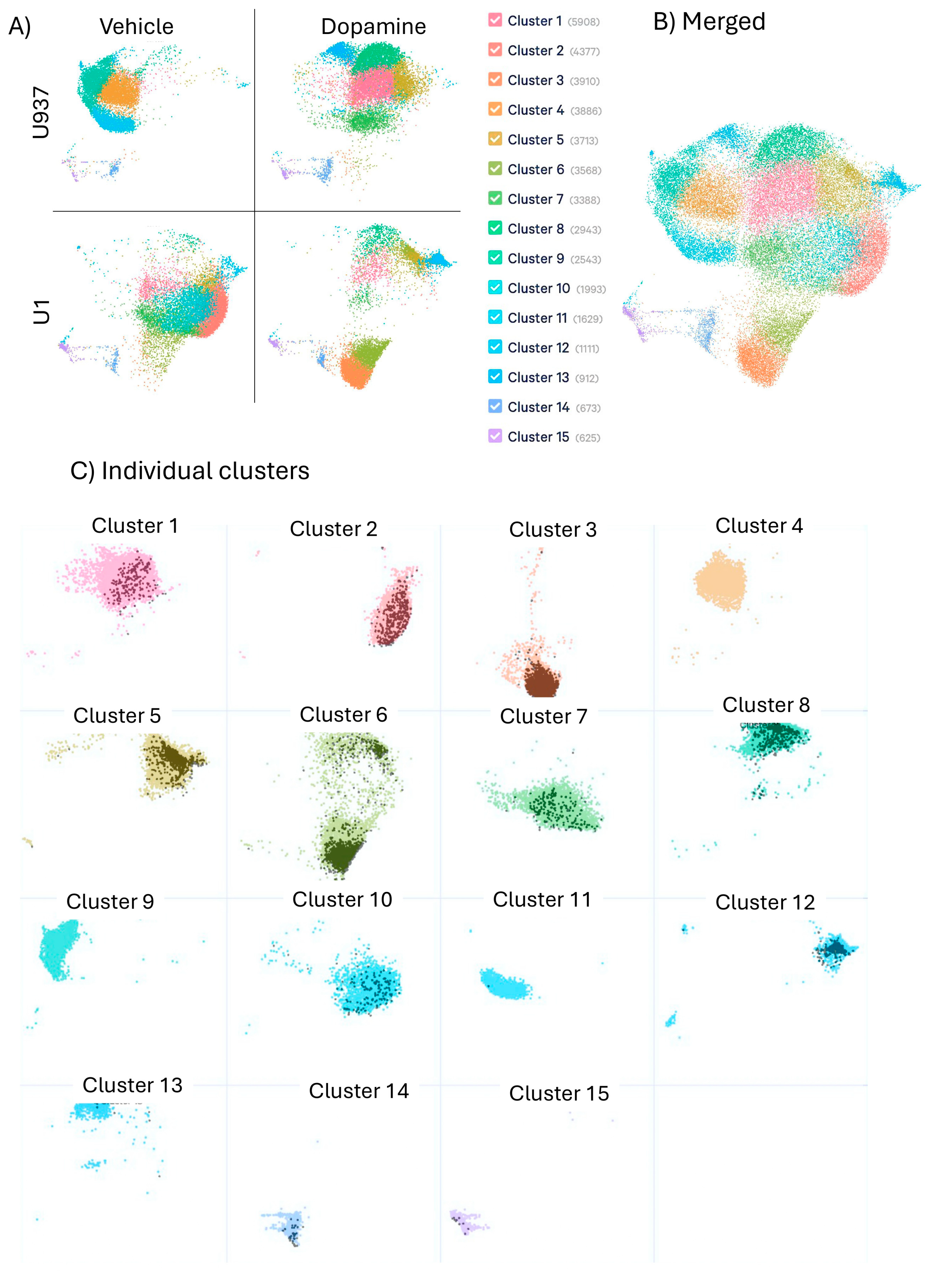 Viruses 17 00895 g001