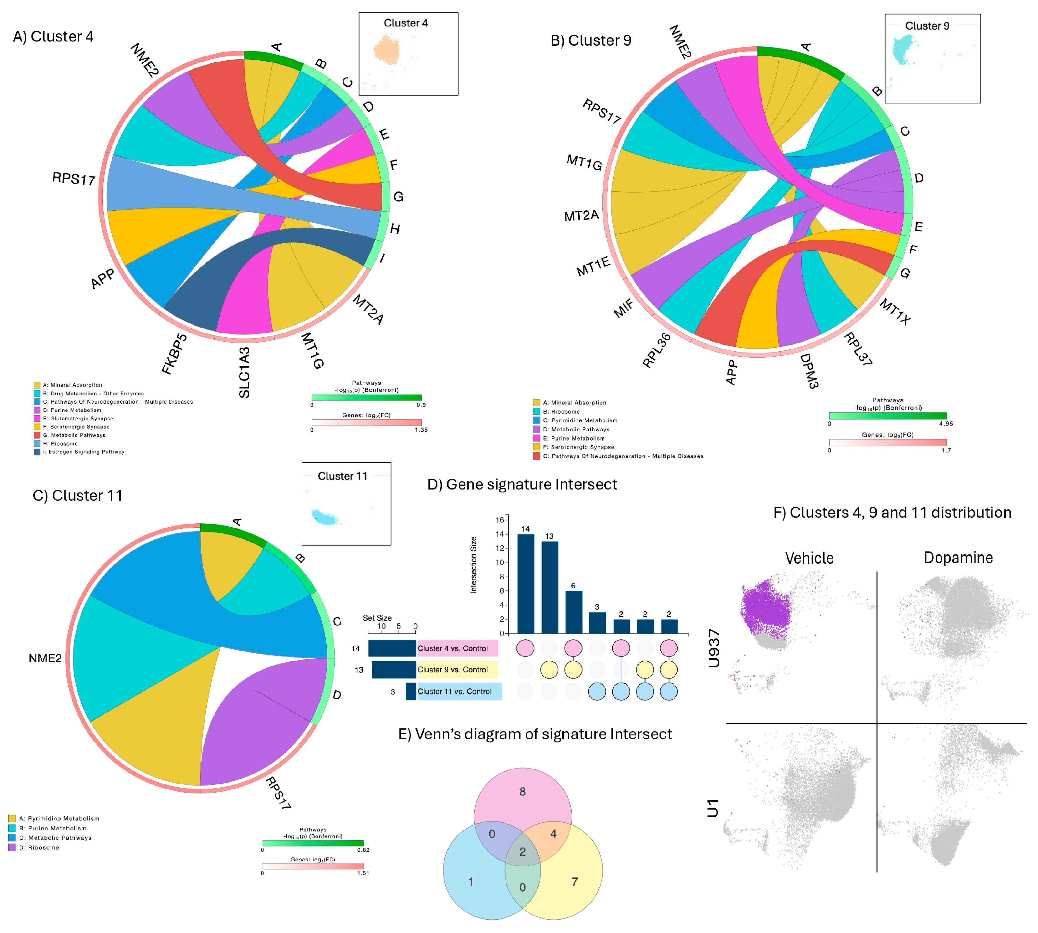 Viruses 17 00895 g002