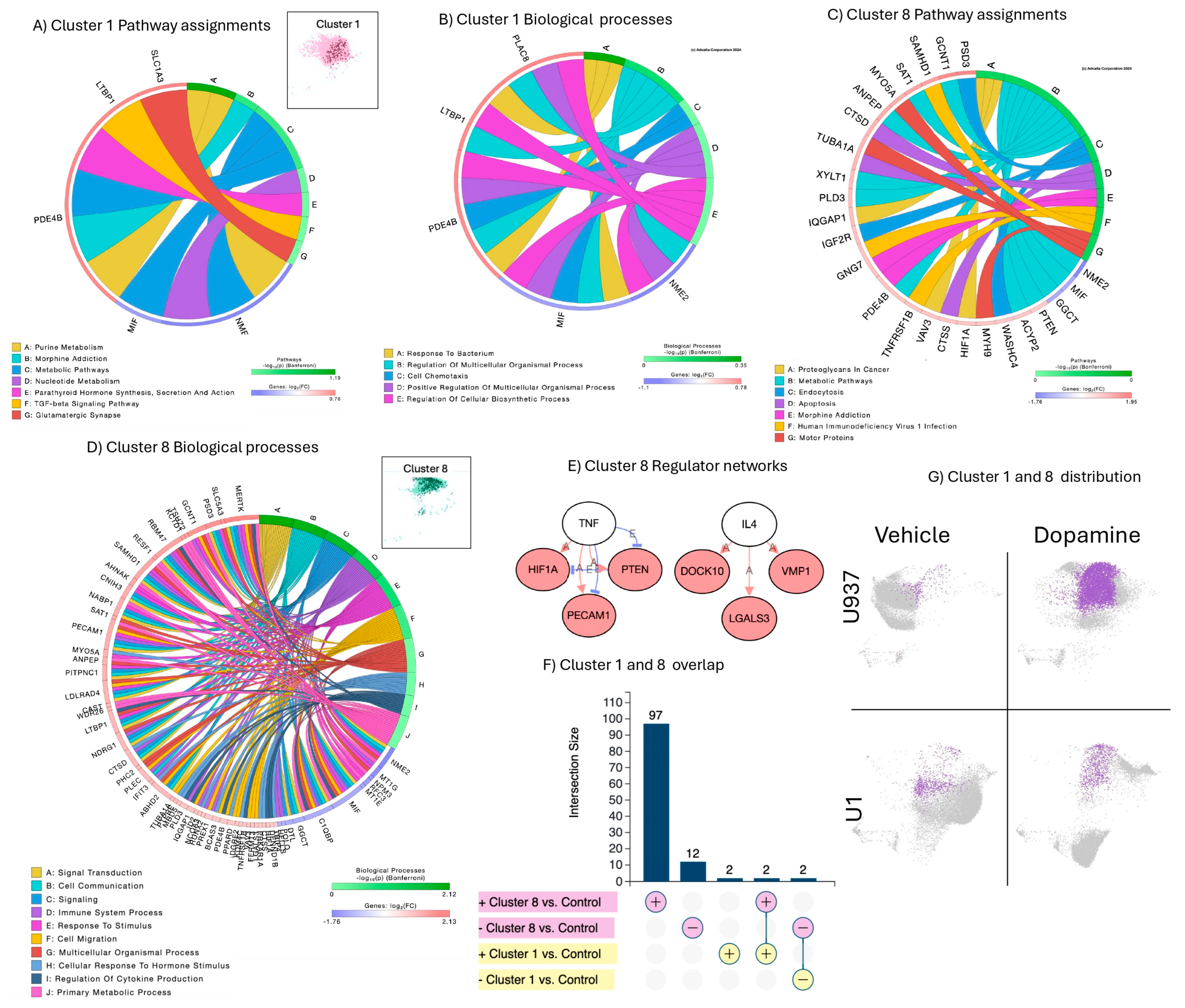 Viruses 17 00895 g003