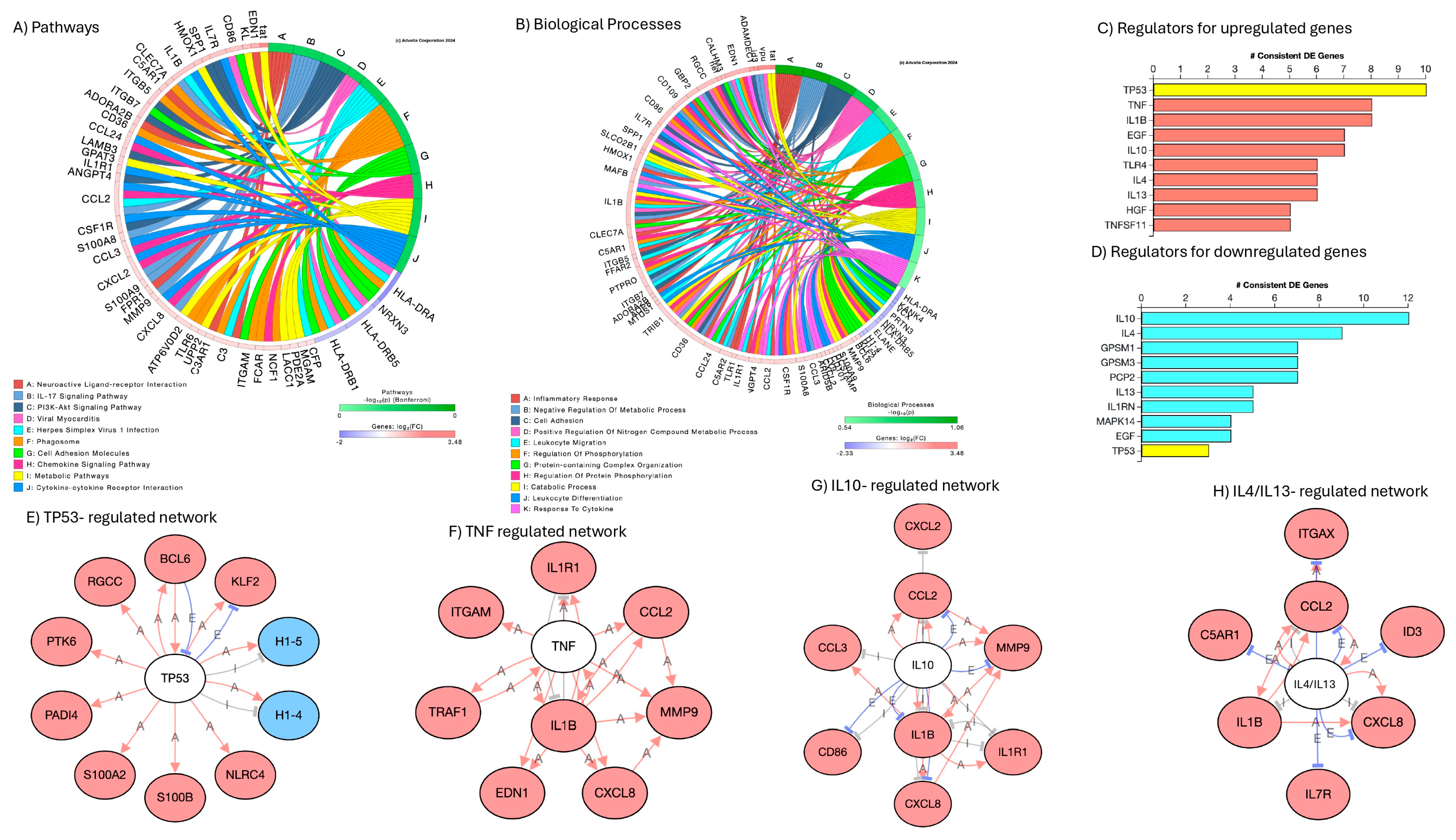 Viruses 17 00895 g007