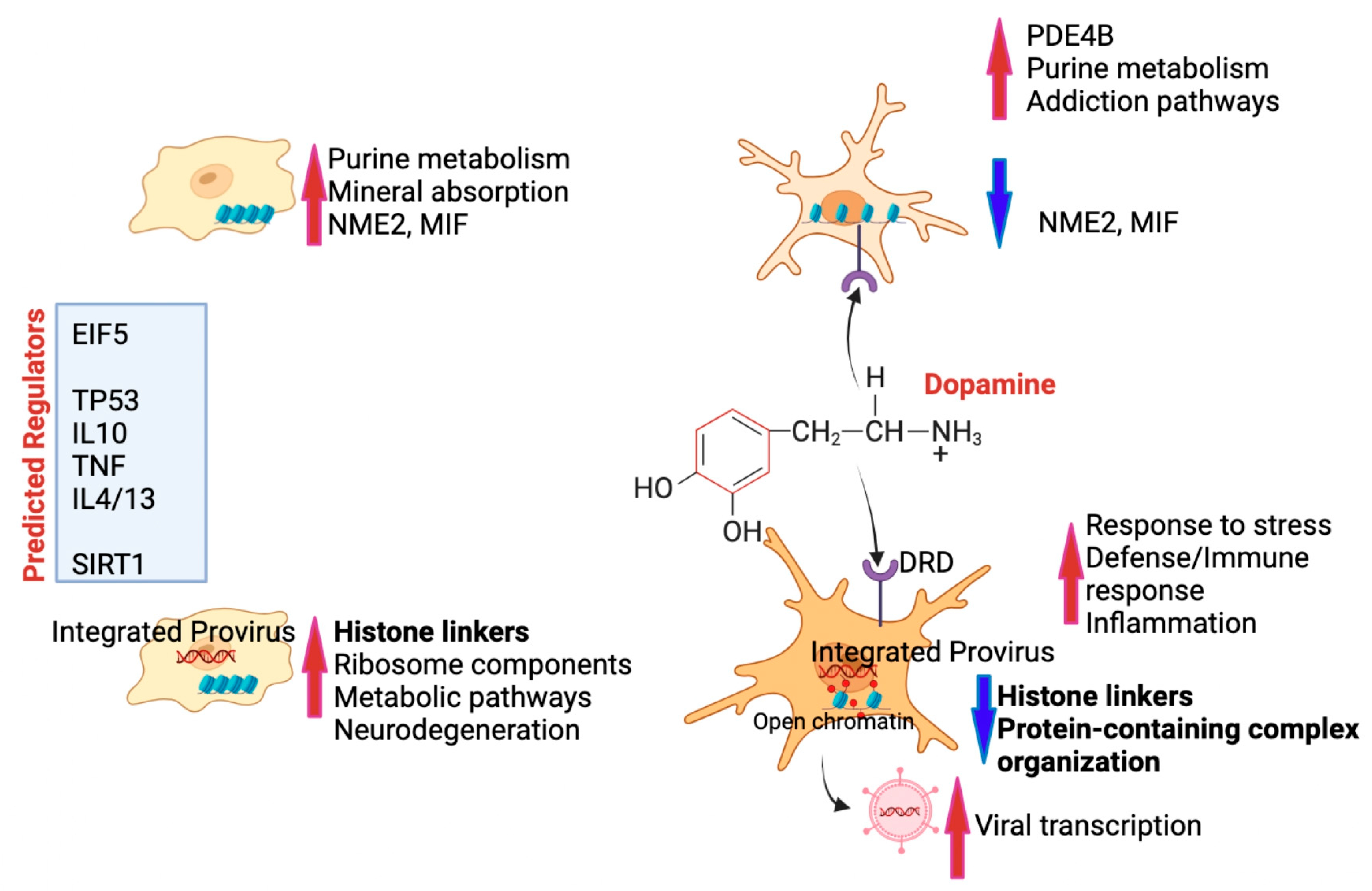 Viruses 17 00895 g010