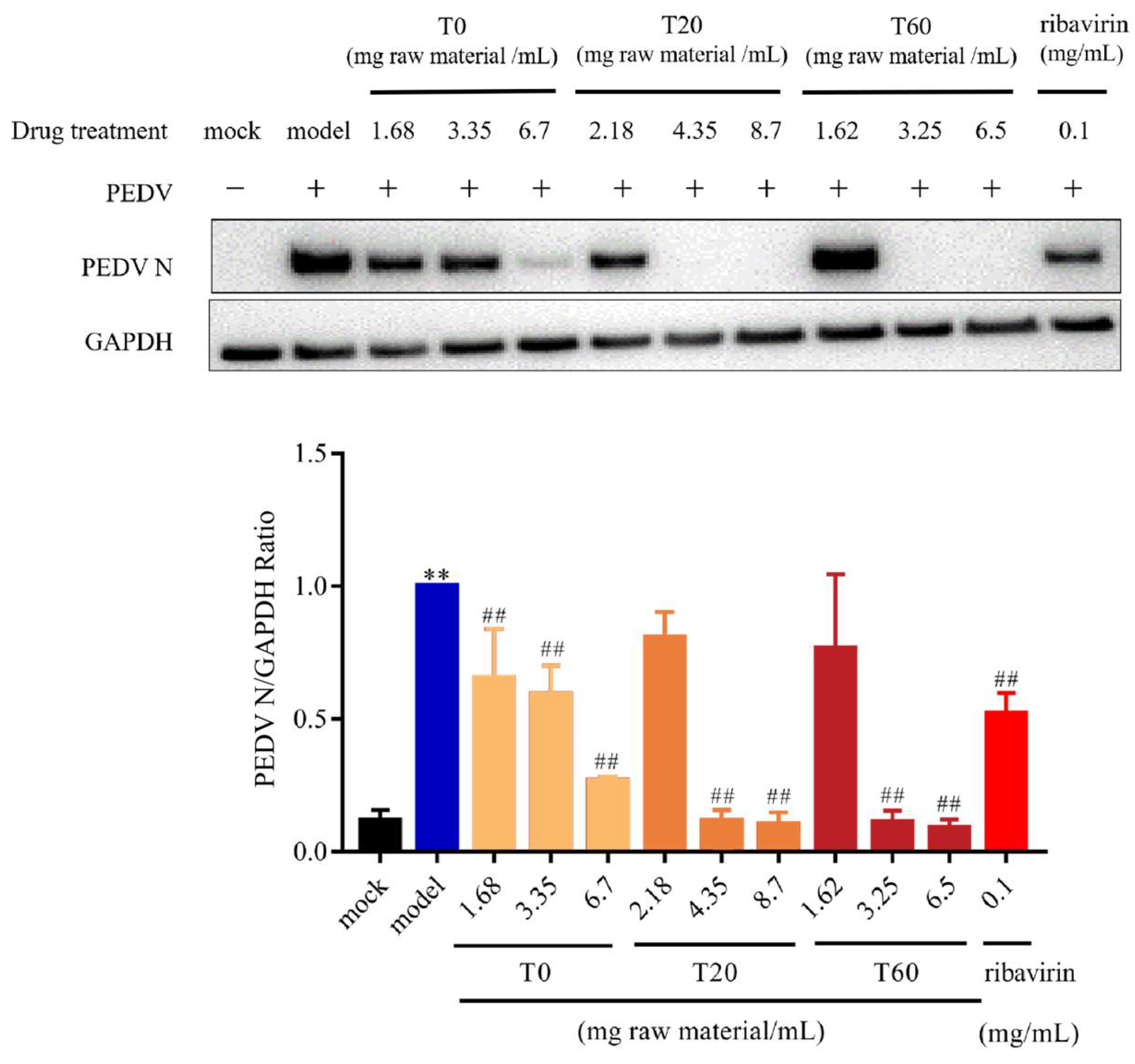Viruses 17 00900 g002