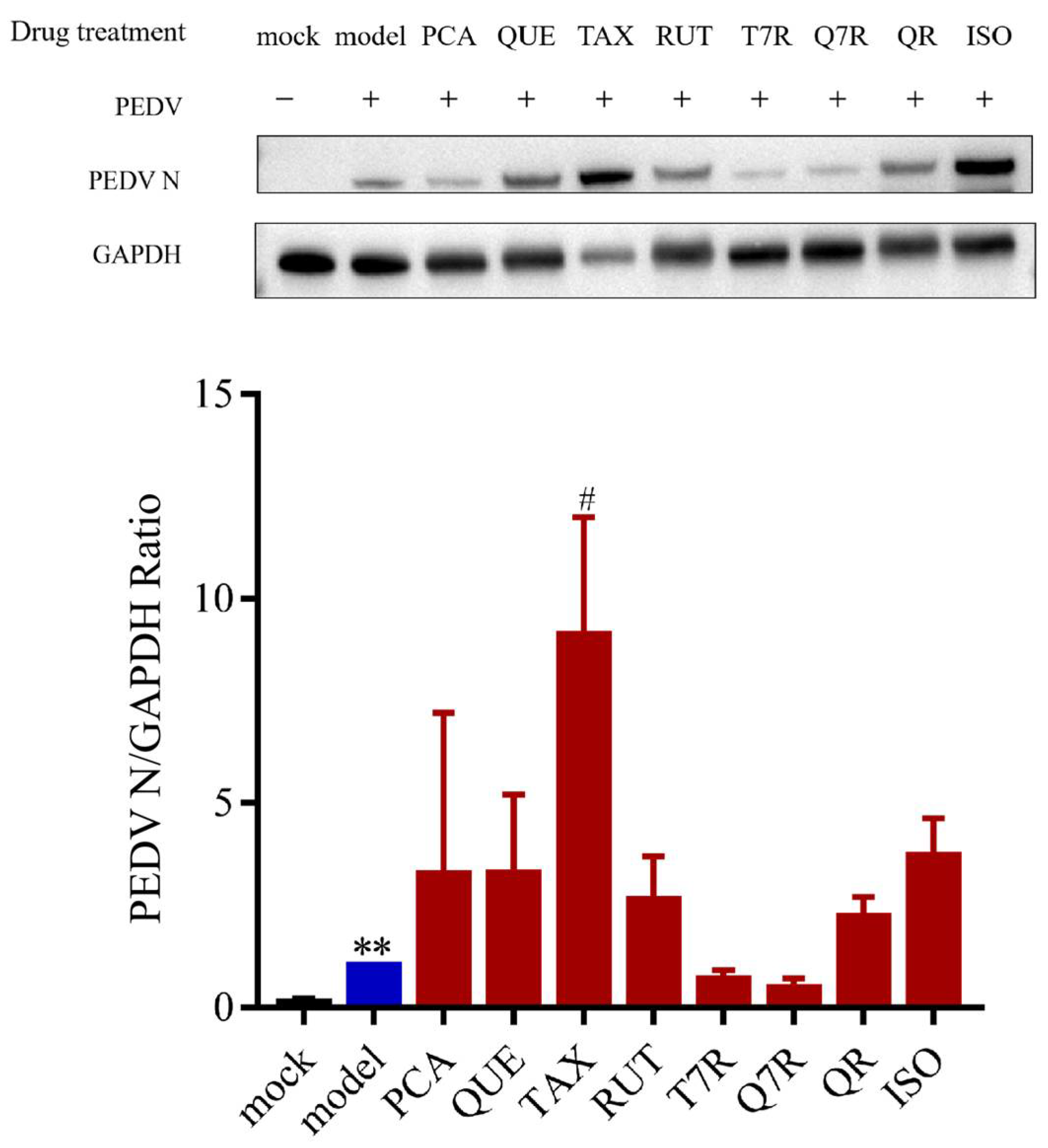 Viruses 17 00900 g008