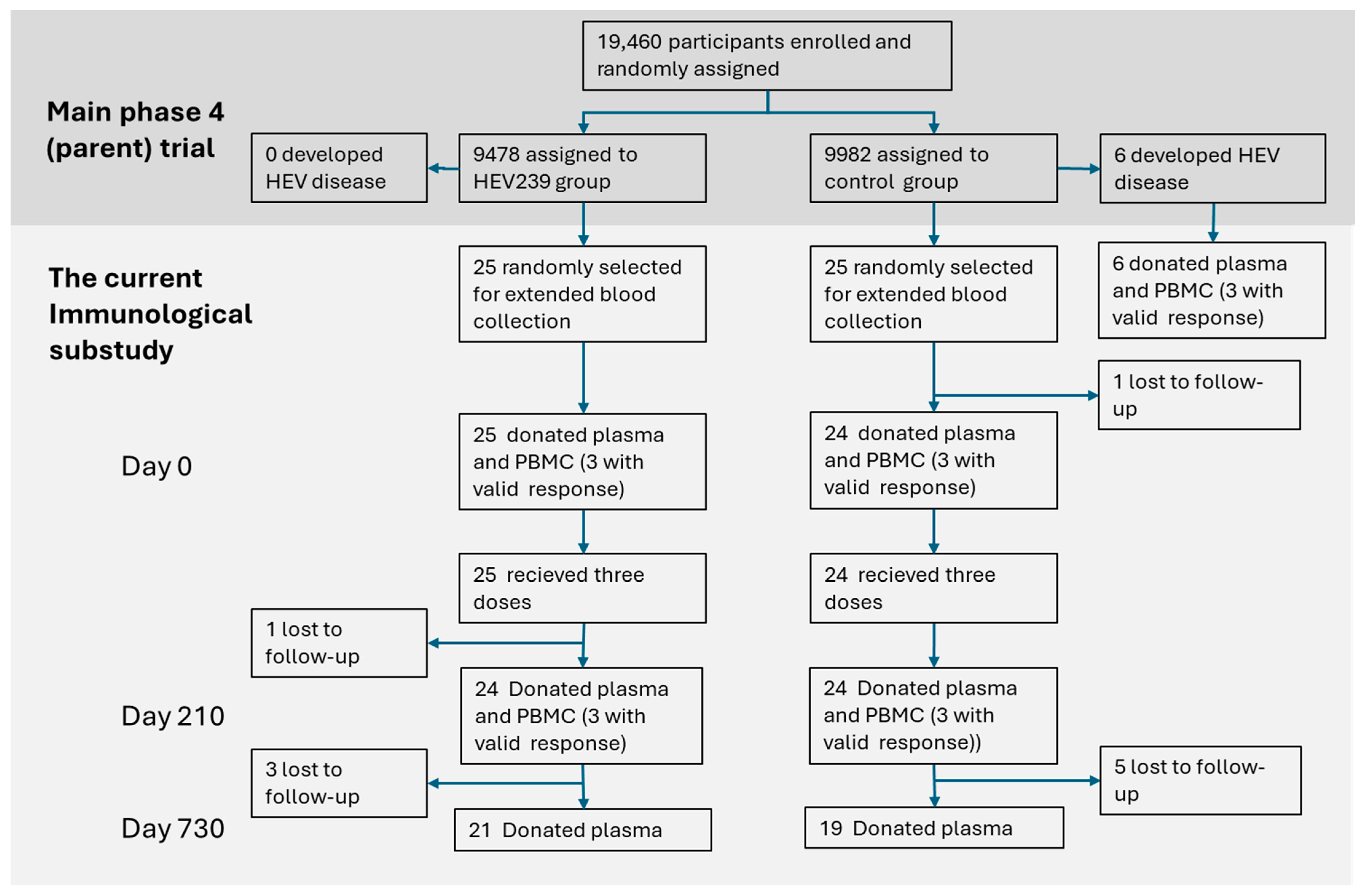 Viruses 17 00901 g001
