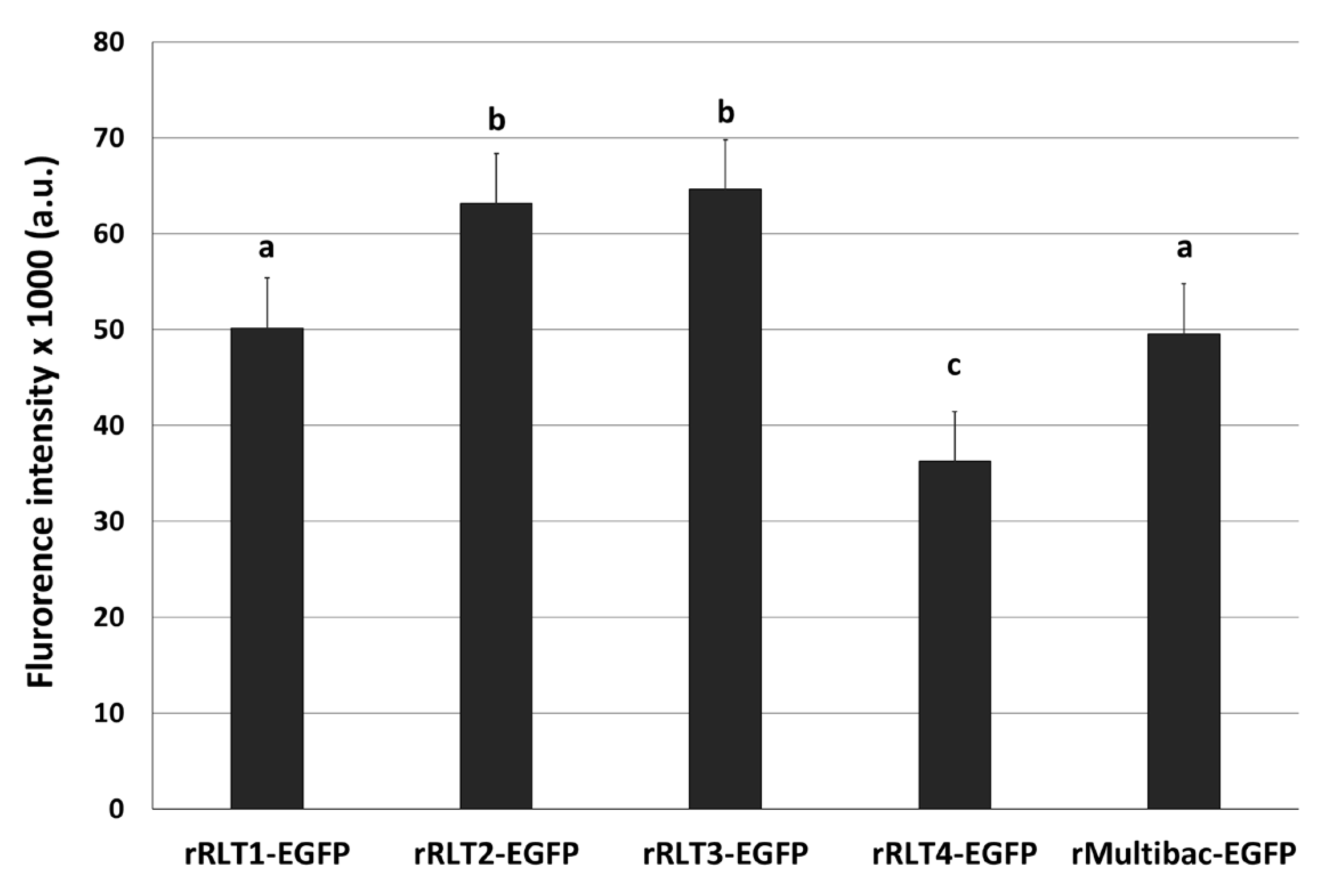 Viruses 17 00902 g002