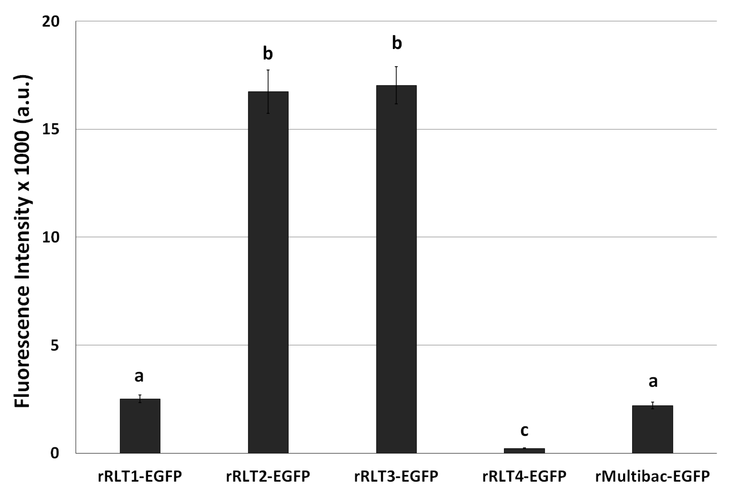 Viruses 17 00902 g004