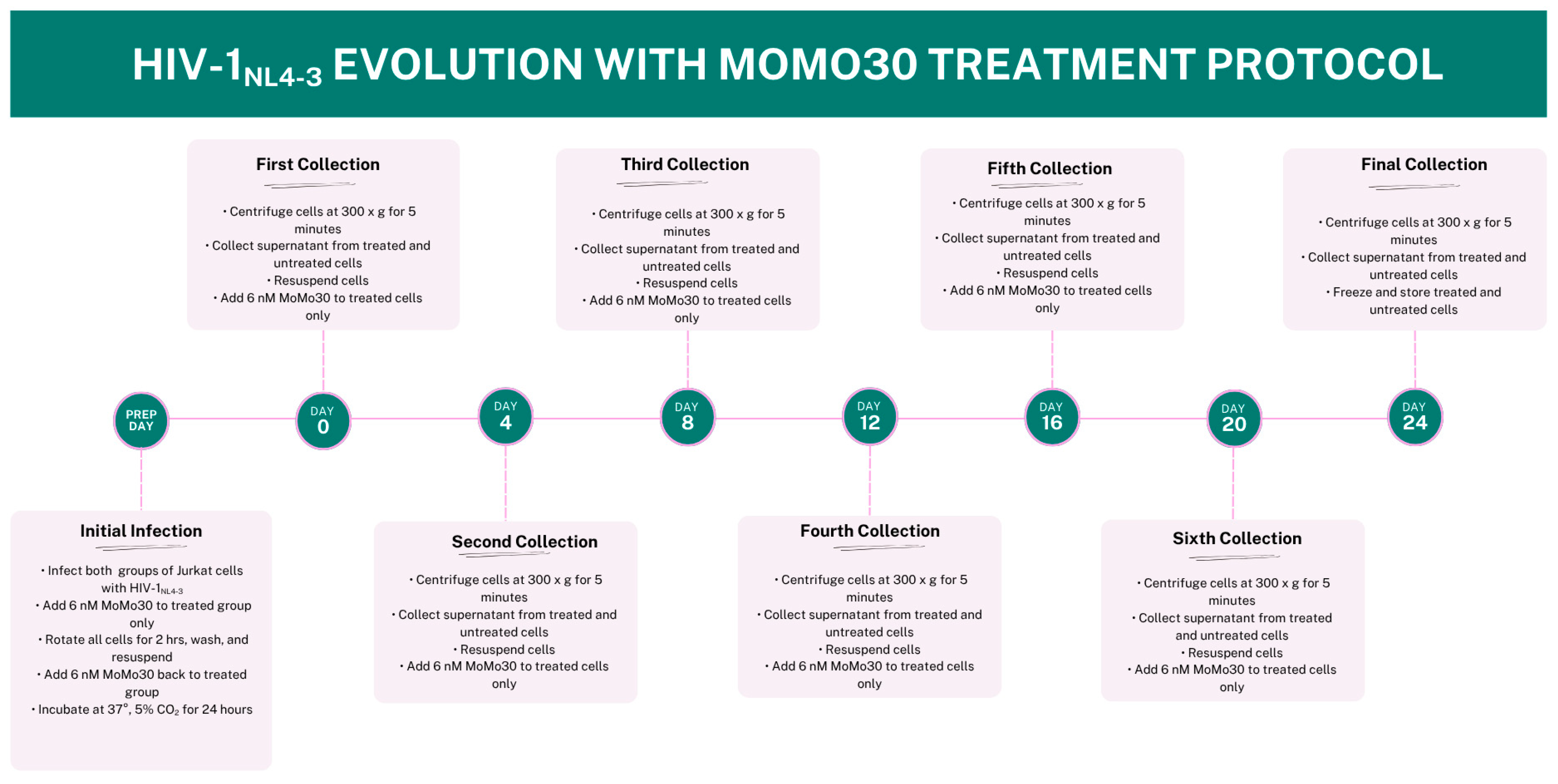 Viruses 17 00910 g001