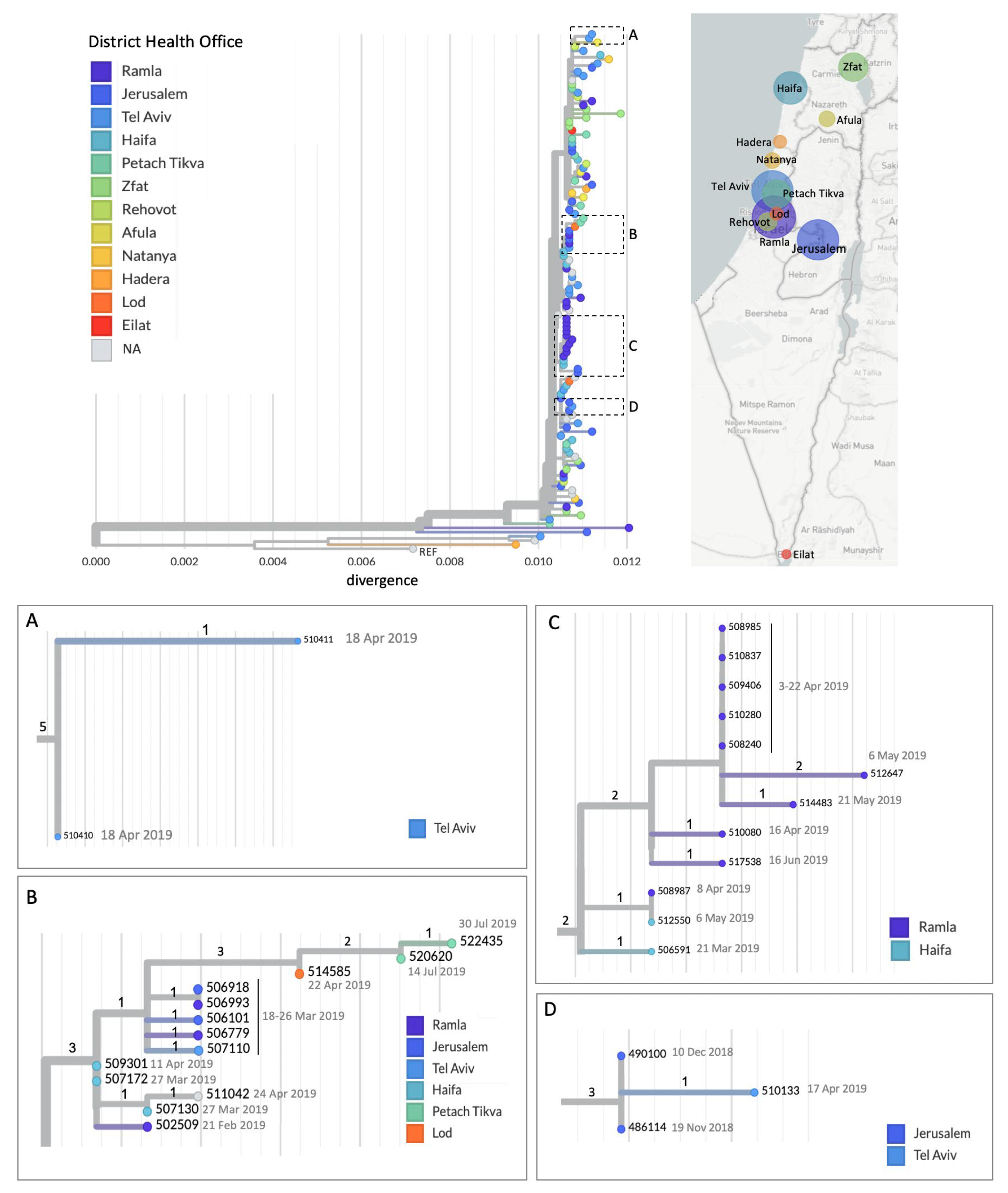 Viruses 17 00913 g001