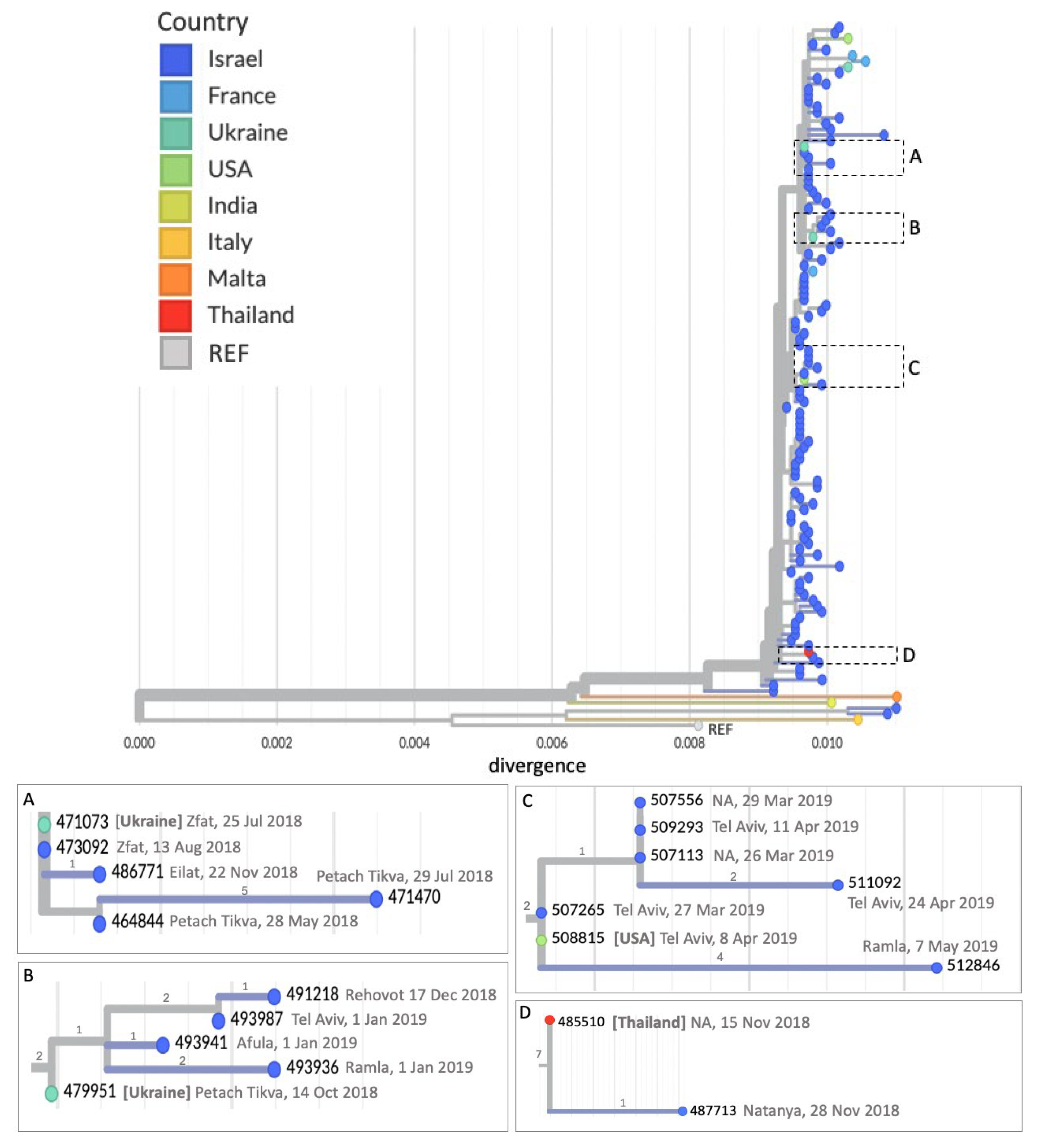 Viruses 17 00913 g002