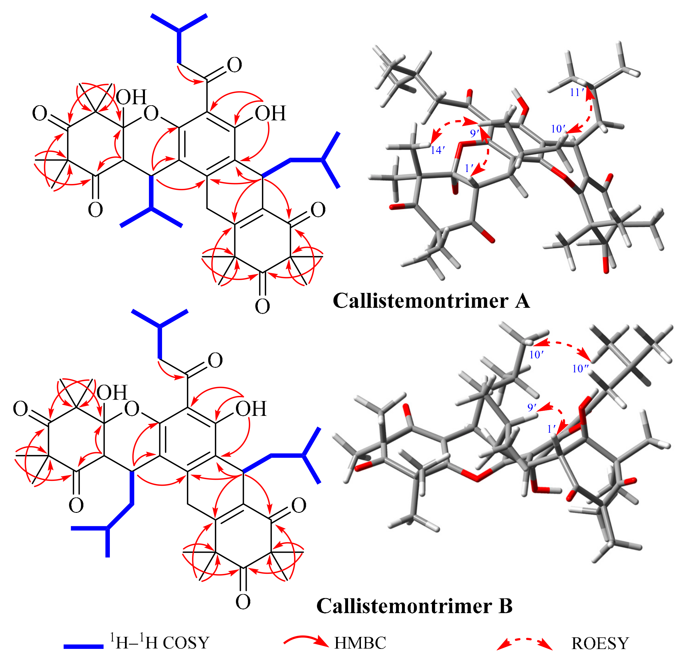 Viruses 17 00916 g002
