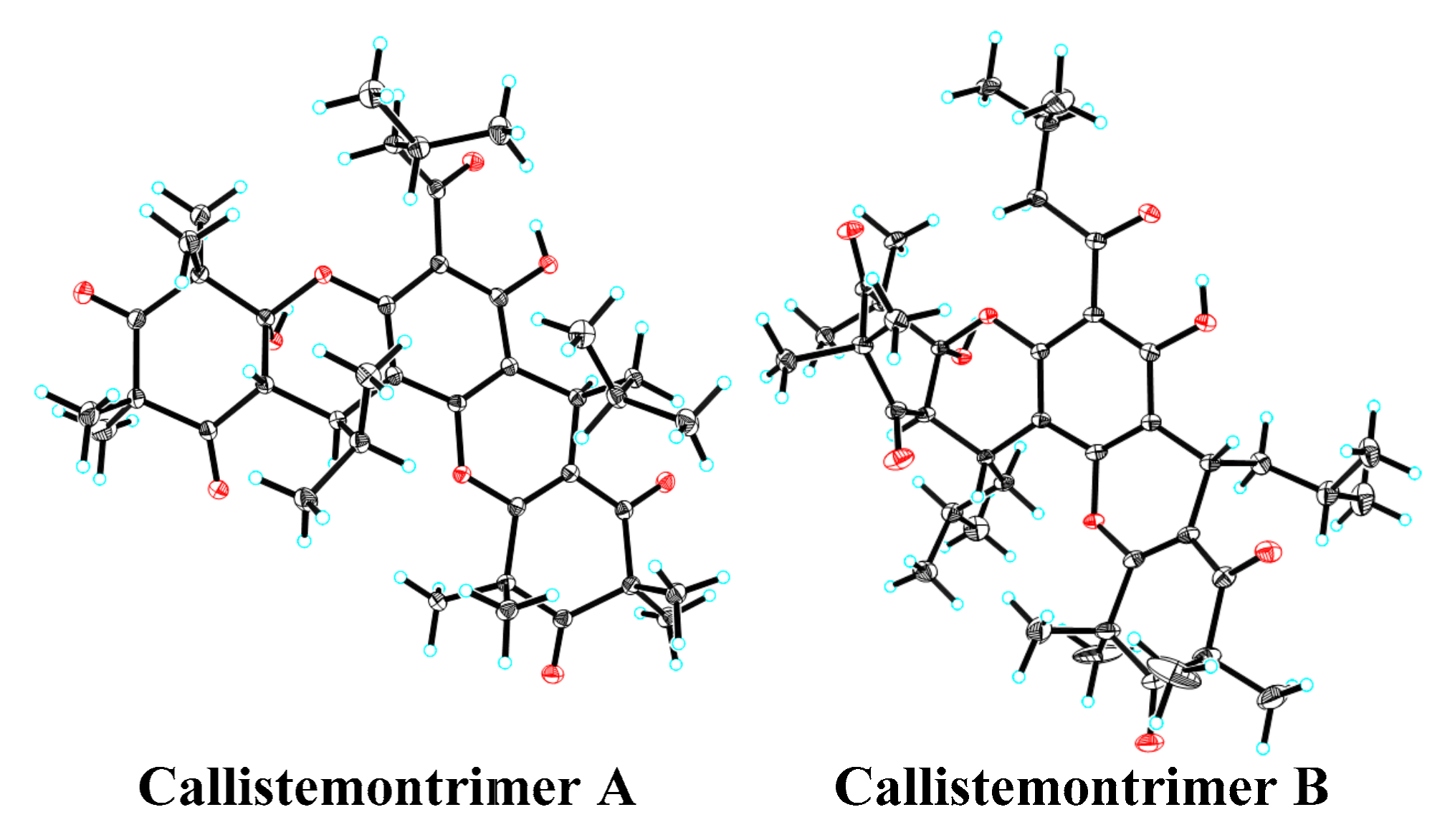 Viruses 17 00916 g003