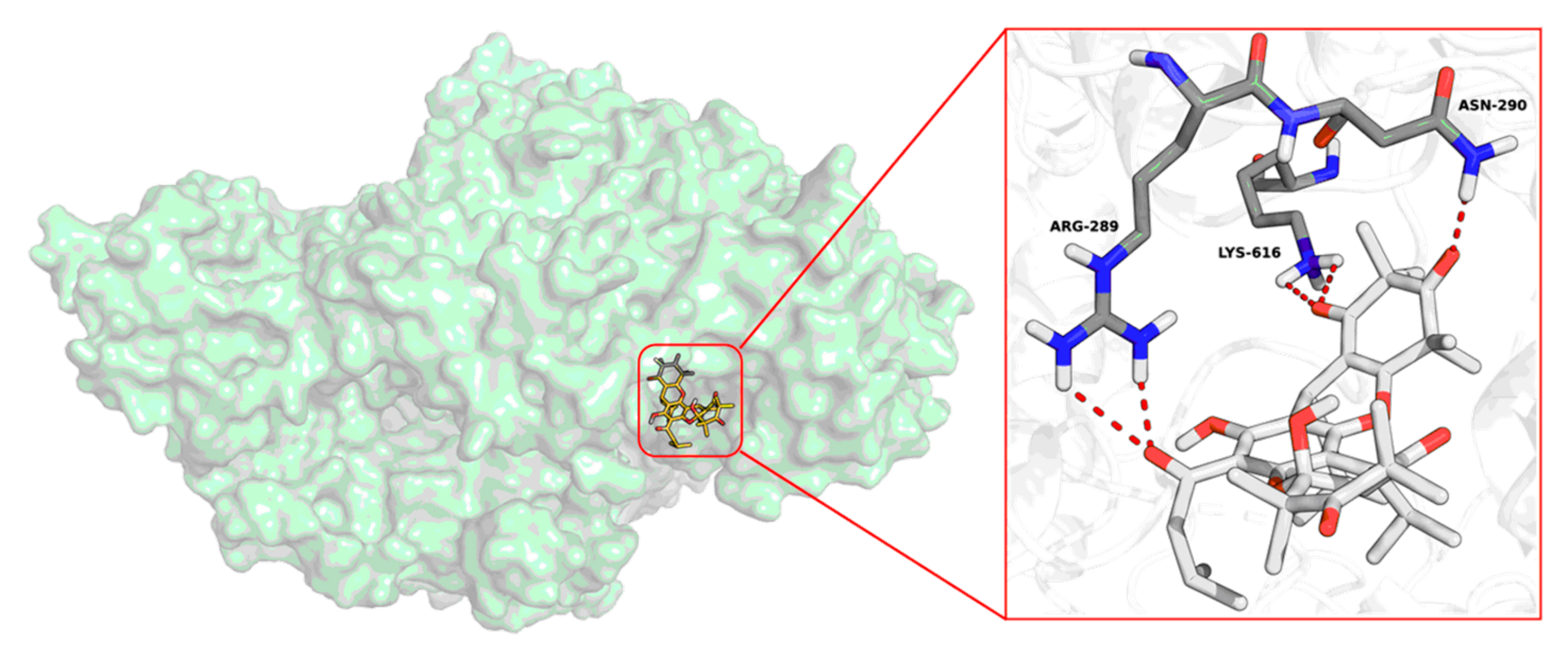 Viruses 17 00916 g006