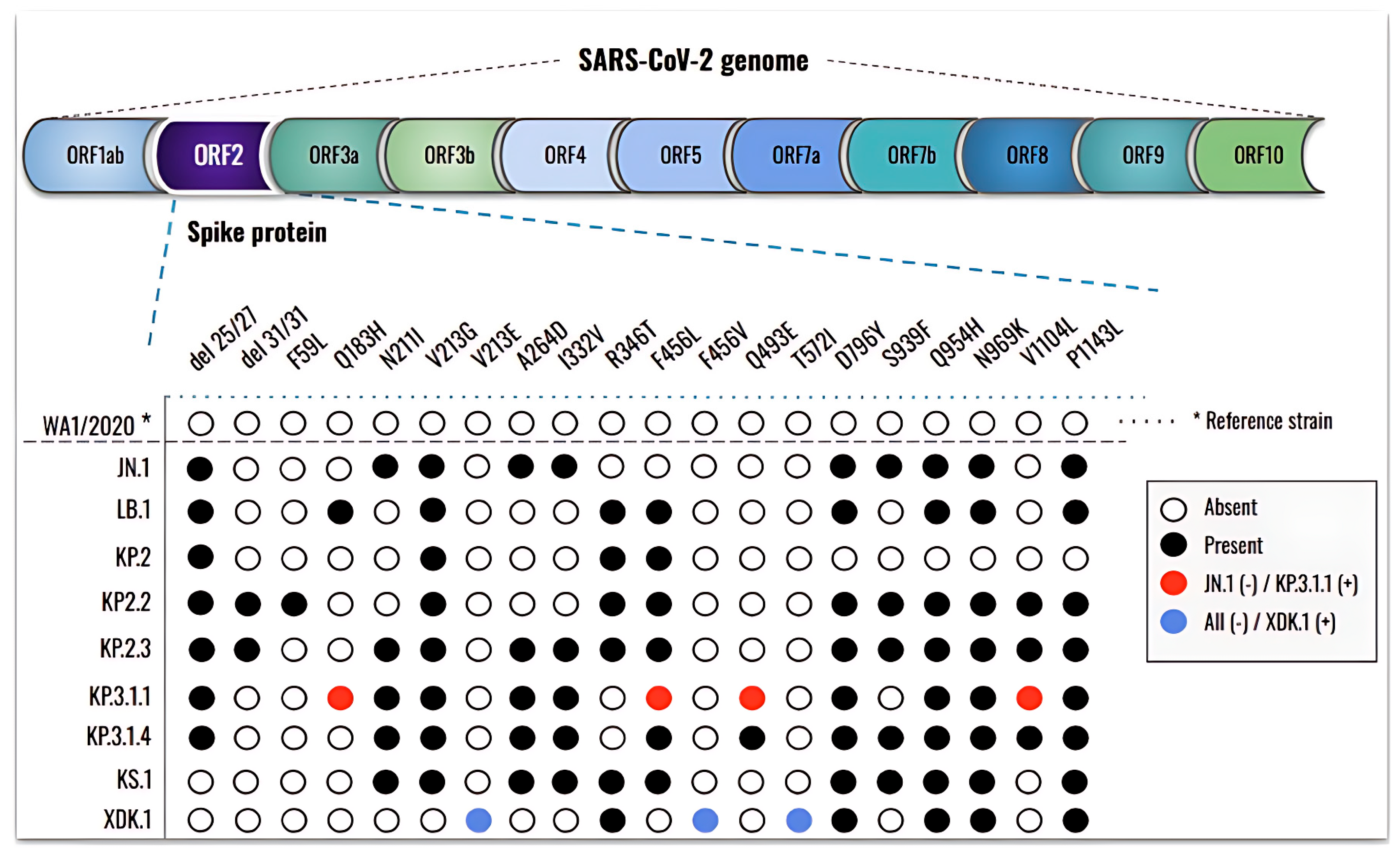 Viruses 17 00918 g004