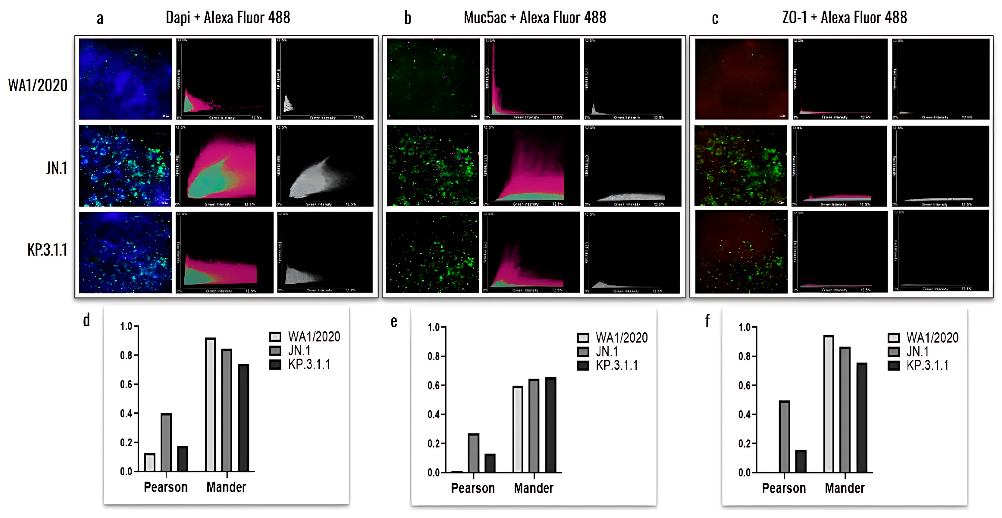 Viruses 17 00918 g008