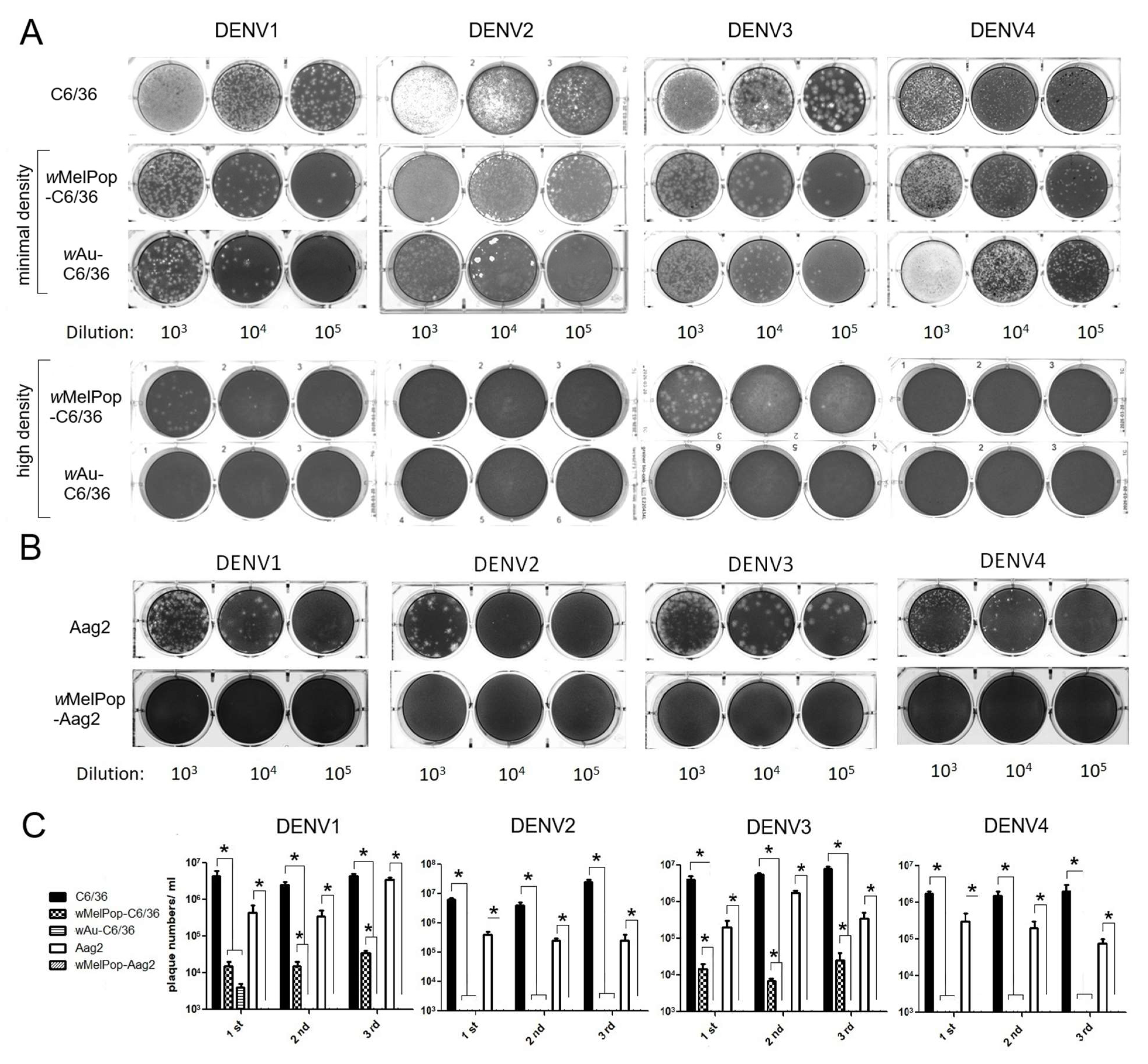 Viruses 17 00922 g003