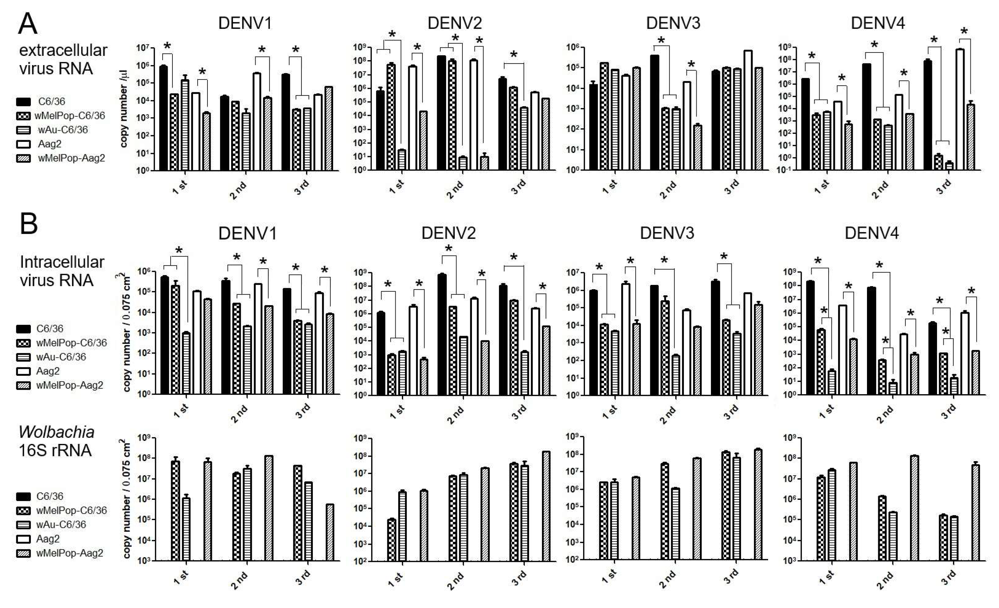Viruses 17 00922 g004