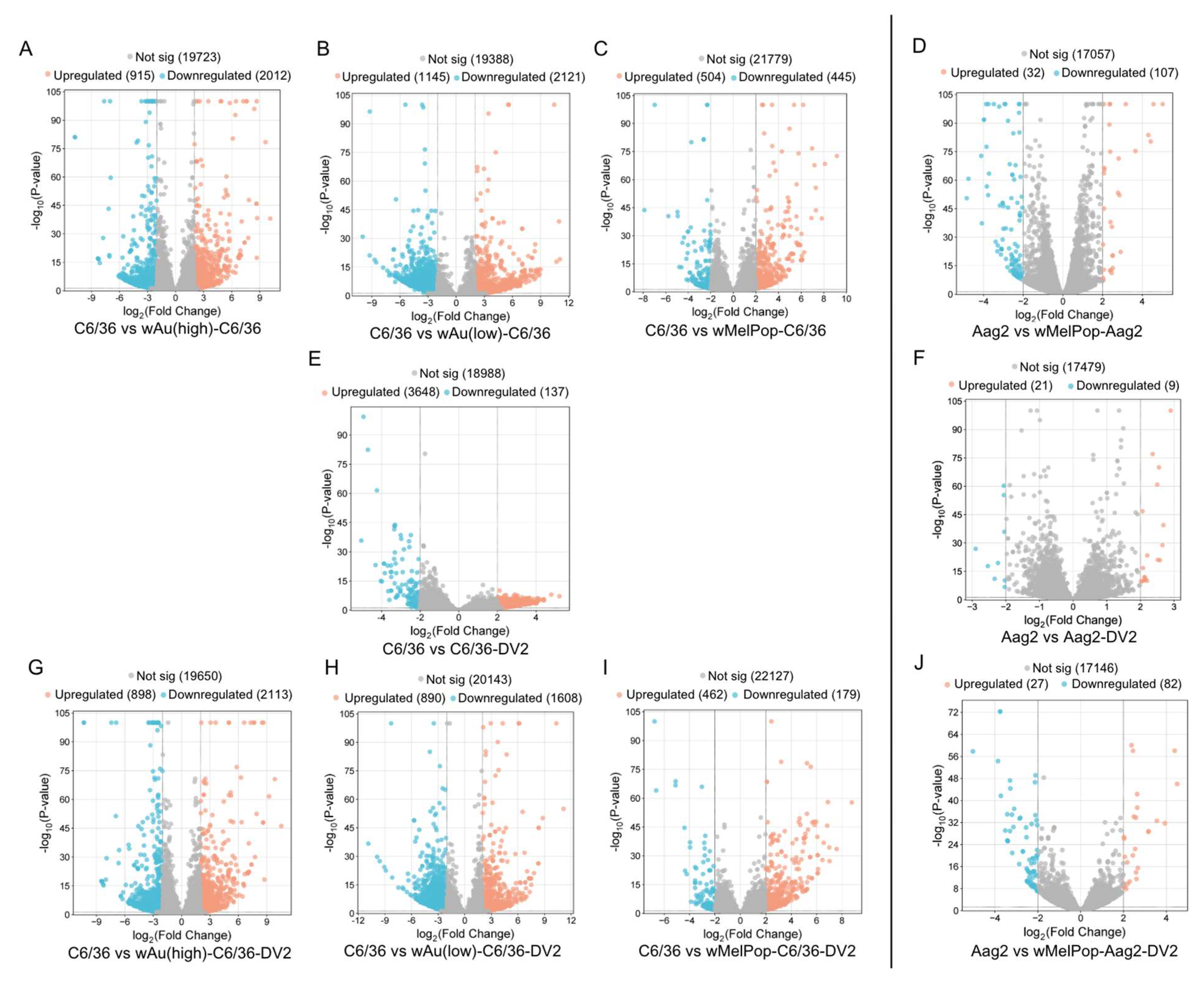 Viruses 17 00922 g005