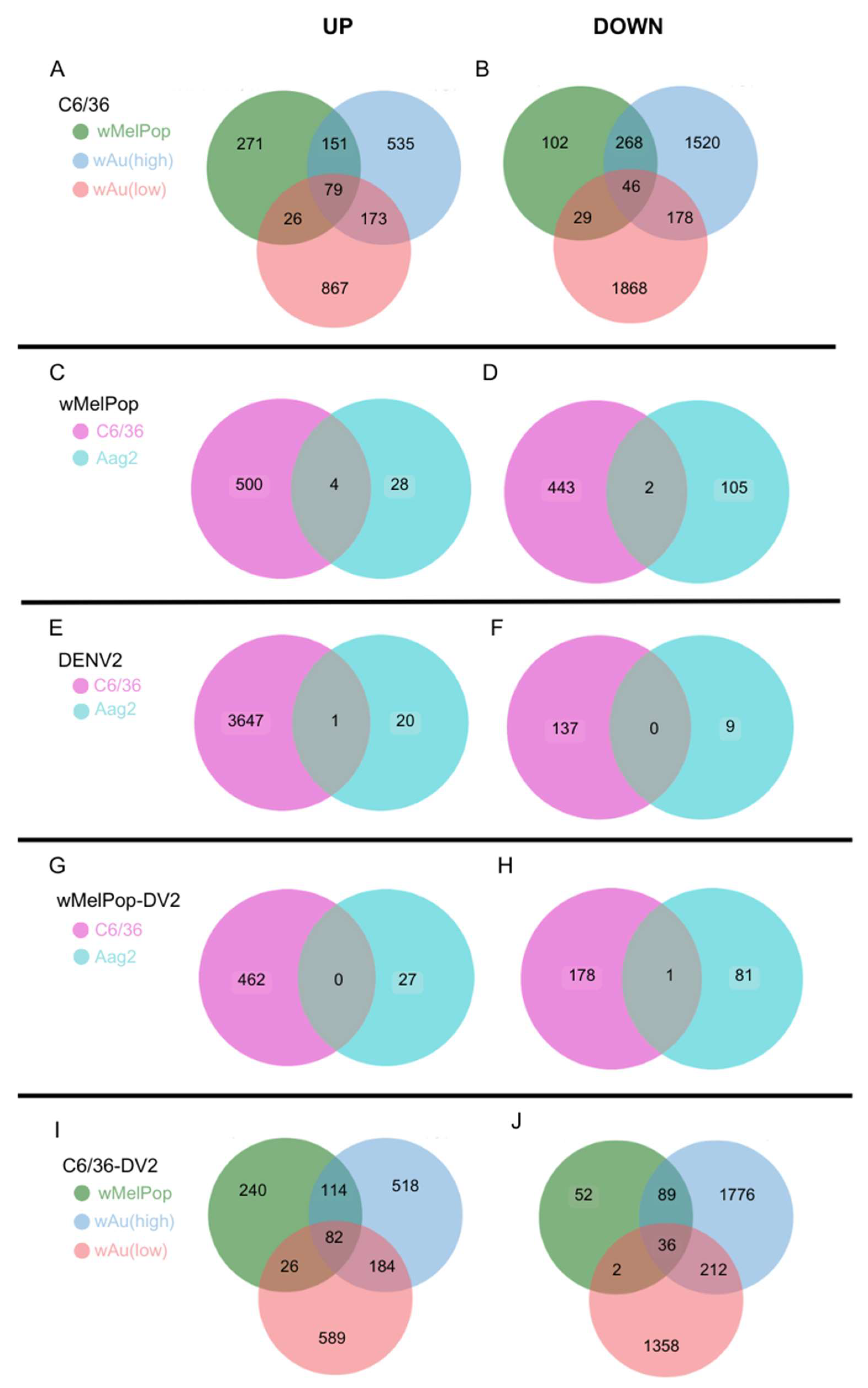 Viruses 17 00922 g006
