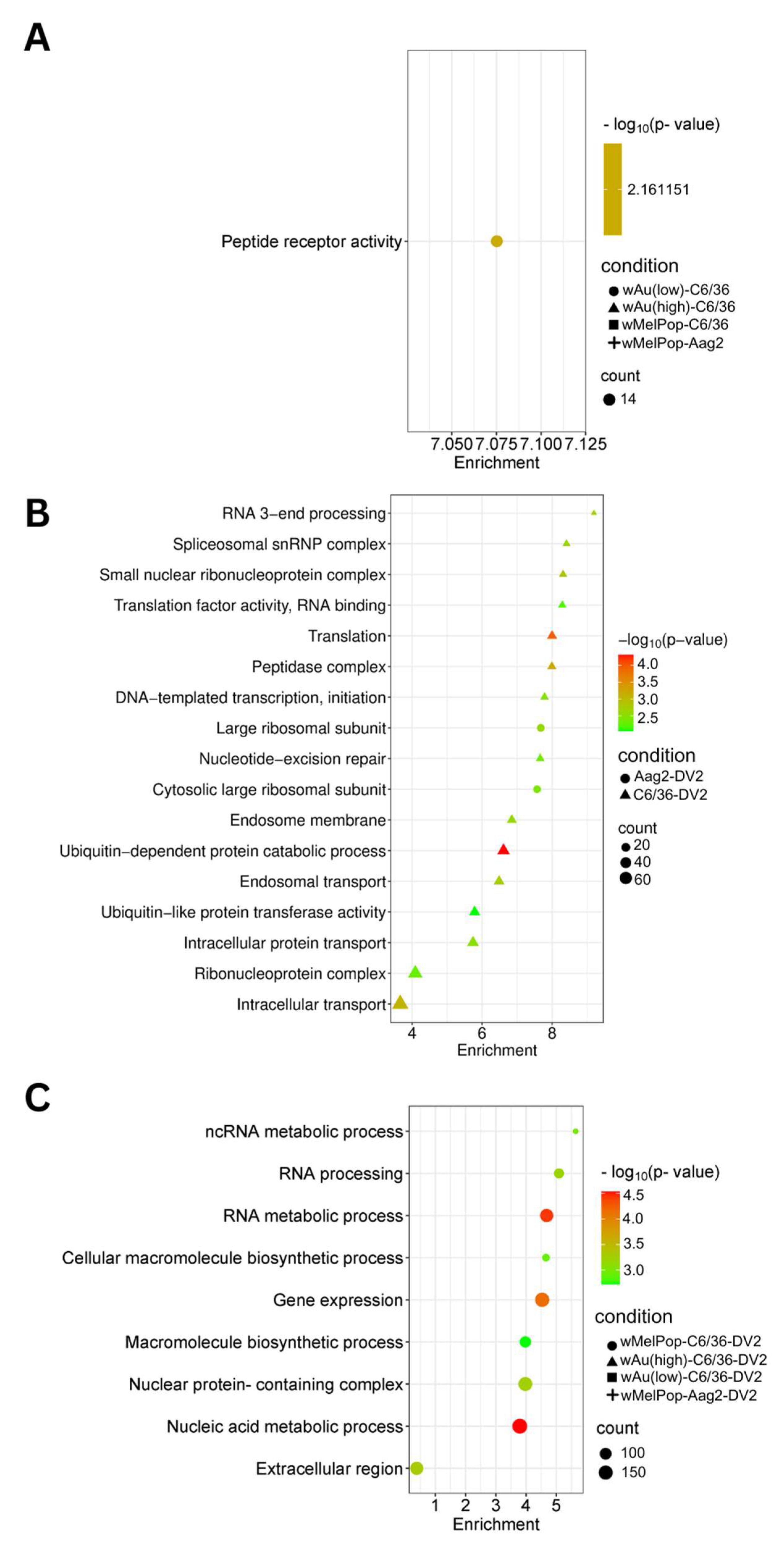 Viruses 17 00922 g007
