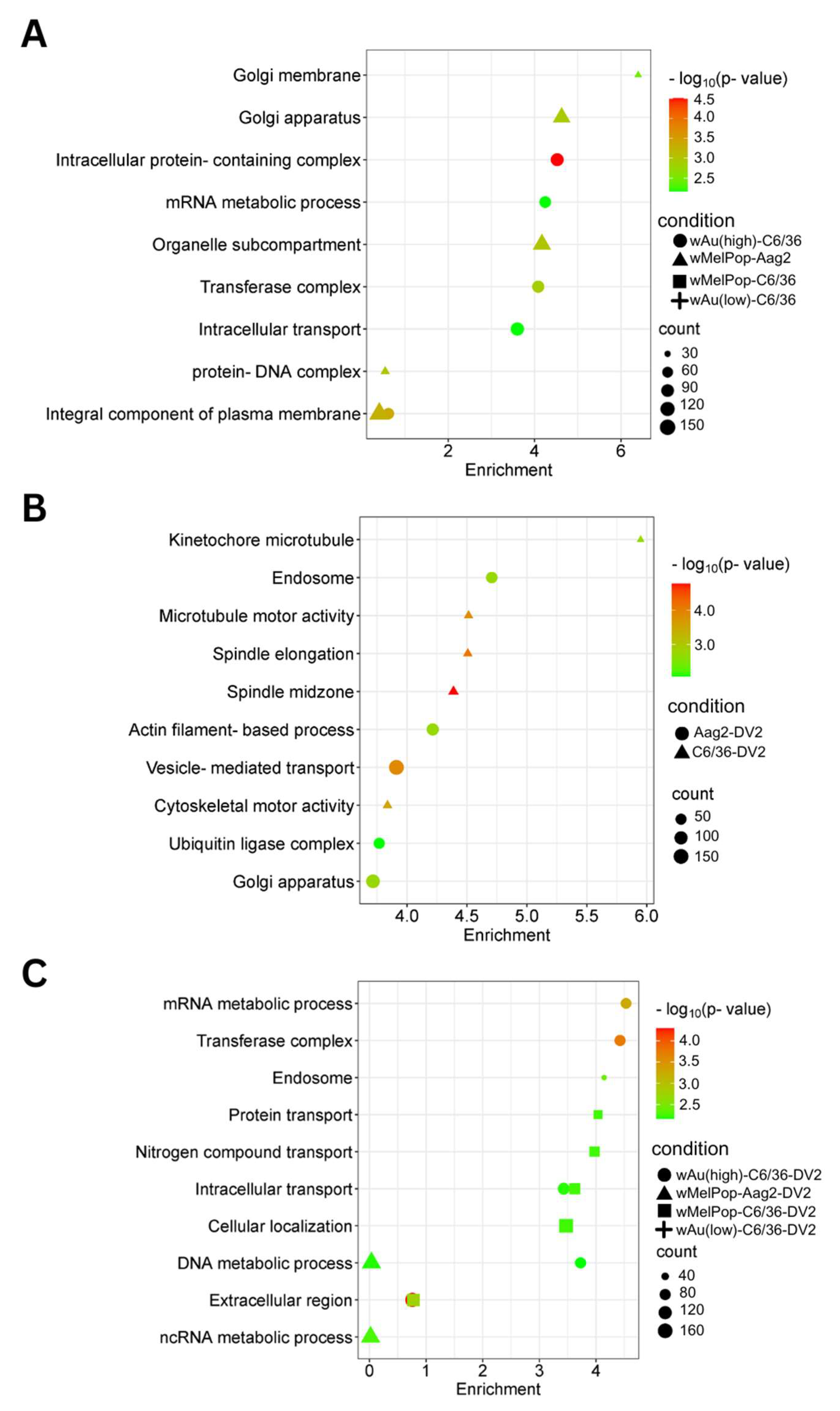 Viruses 17 00922 g008