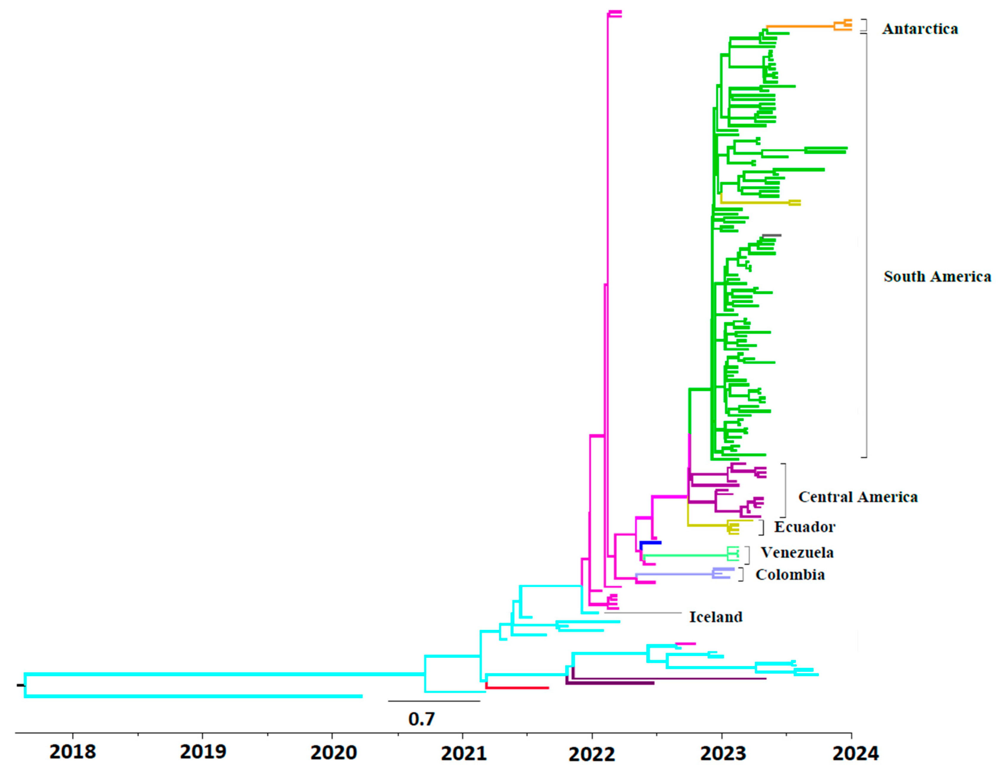 Viruses 17 00924 g001